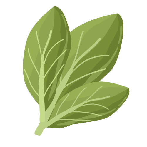 Illustration of three green basil leaves