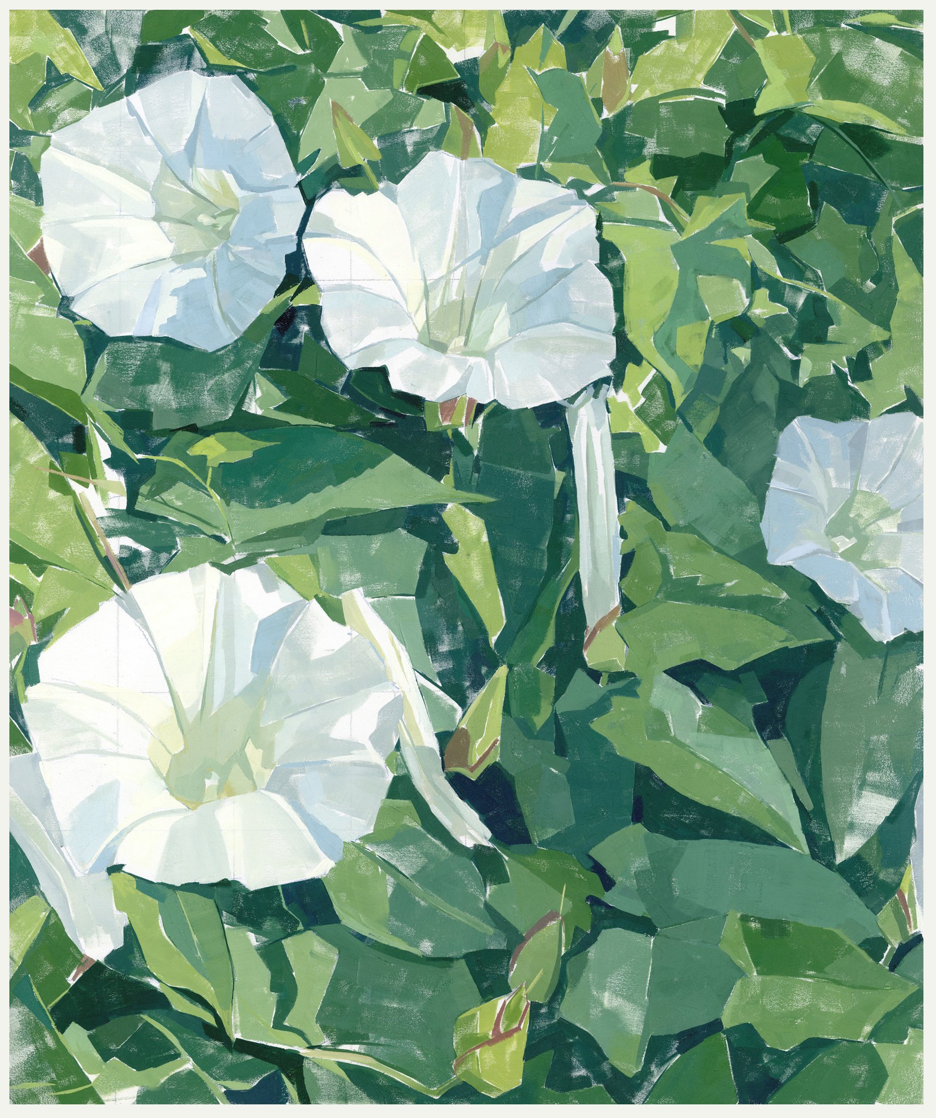 Bindweed 01 (original)