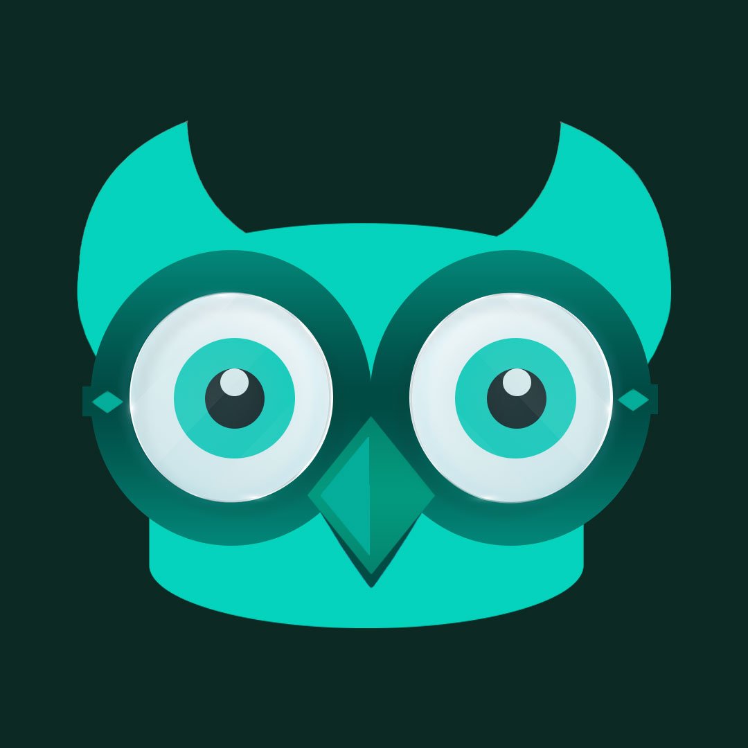 educationwise owl