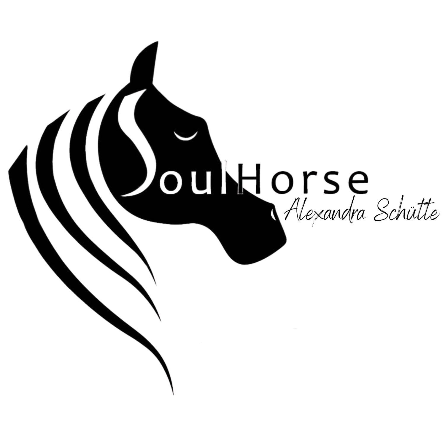 SOULHORSE Alexandra Schütte