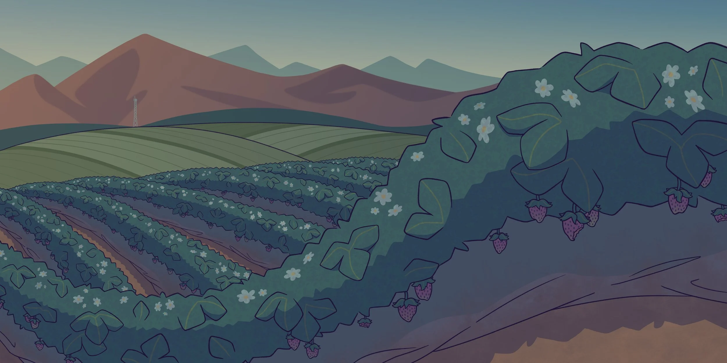 10.1 Strawberry Field v.2.jpg