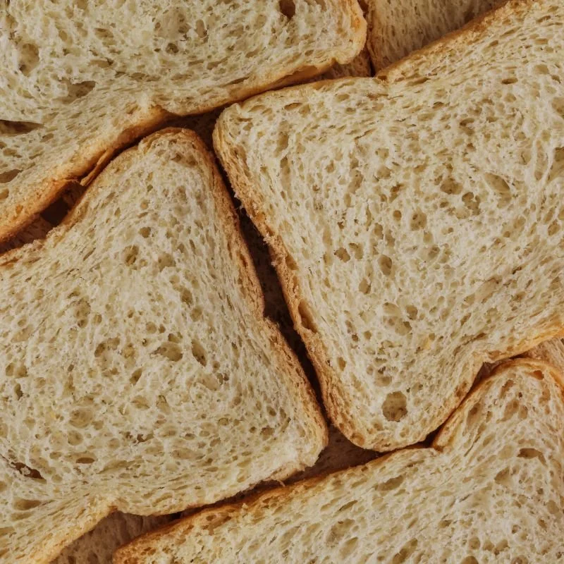 Easy Carnivore Bread Recipe With 3 Ingredients