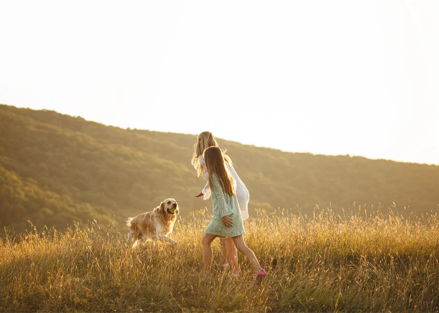 Two young girls playing with a golden retriever dog in a grassy field at sunset, with a hillside in the background.