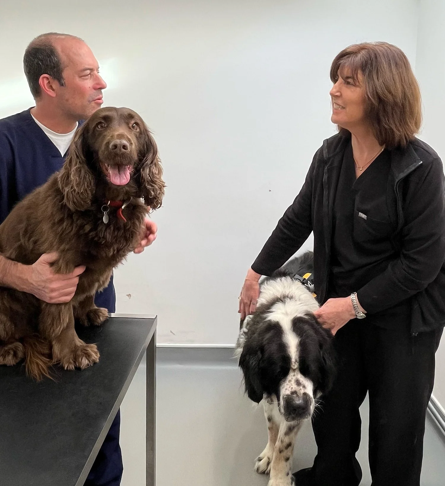 A veterinarian holding a brown dog on a table and a woman standing next to a black and white dog in a room with white walls.