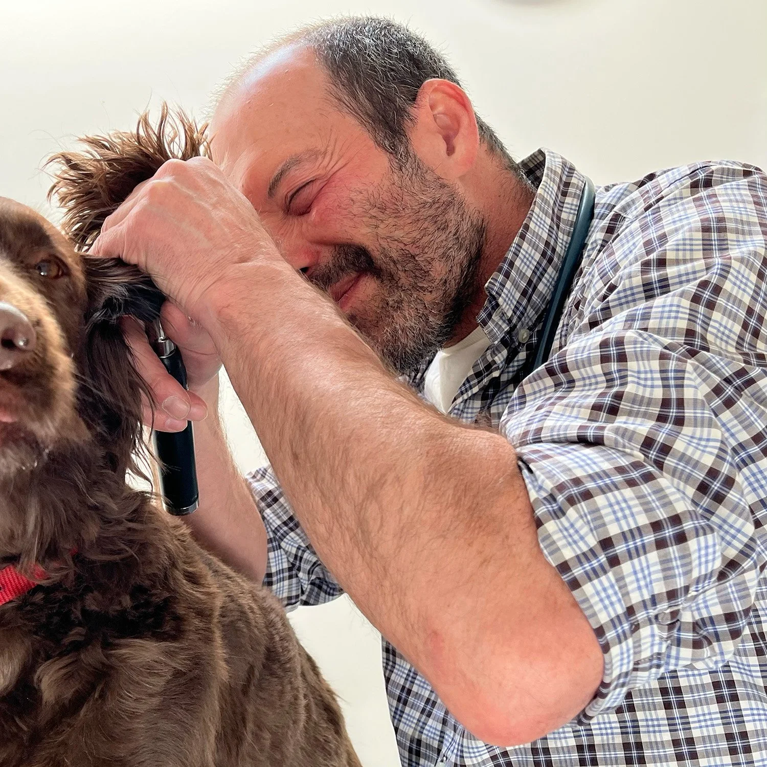 A veterinarian caring for a brown and black puppy while smiling.