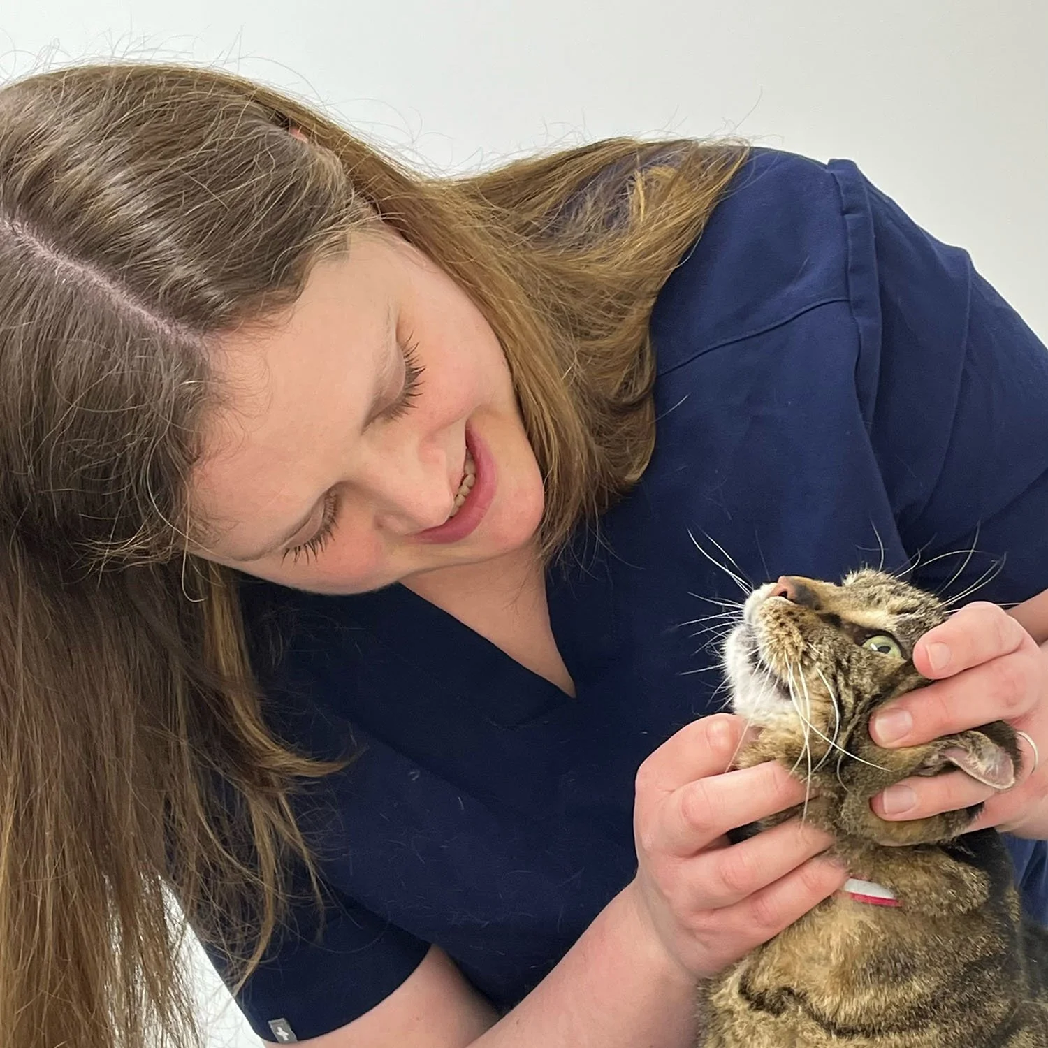 A woman with long red hair wearing dark blue scrubs is smiling and gently holding a tabby cat, looking at it affectionately.