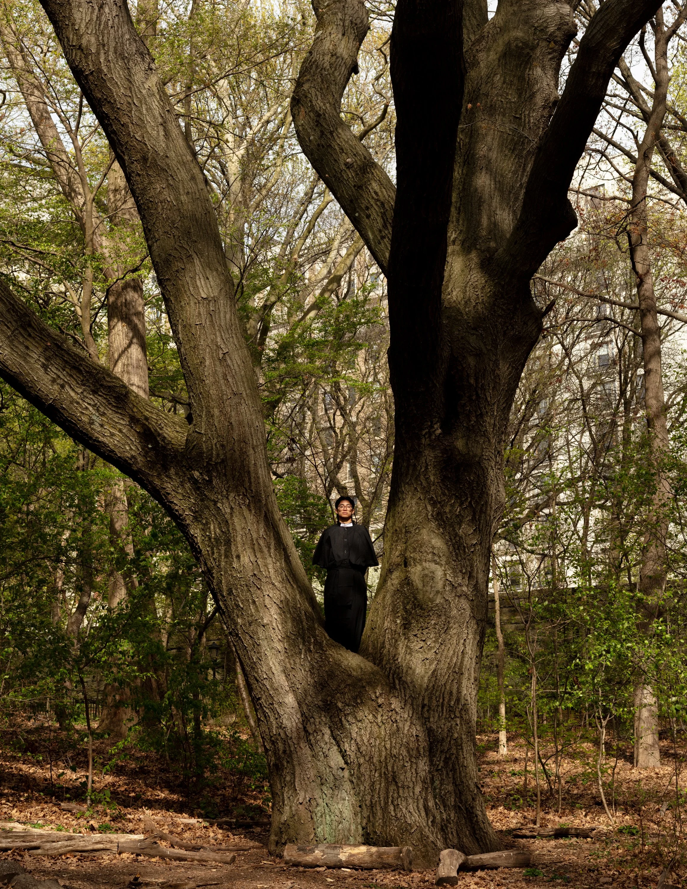 The Tree of Vices