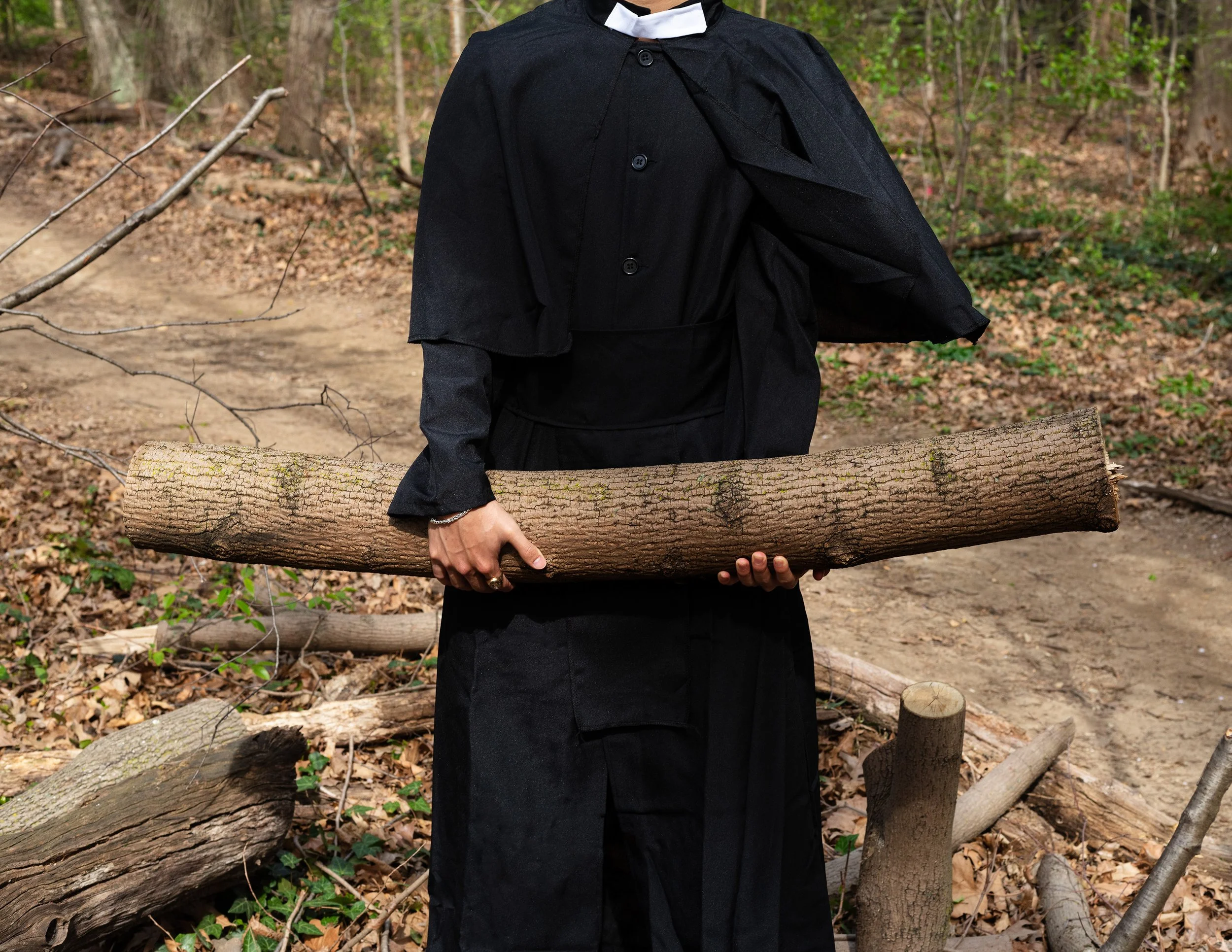 tree log edit.jpg