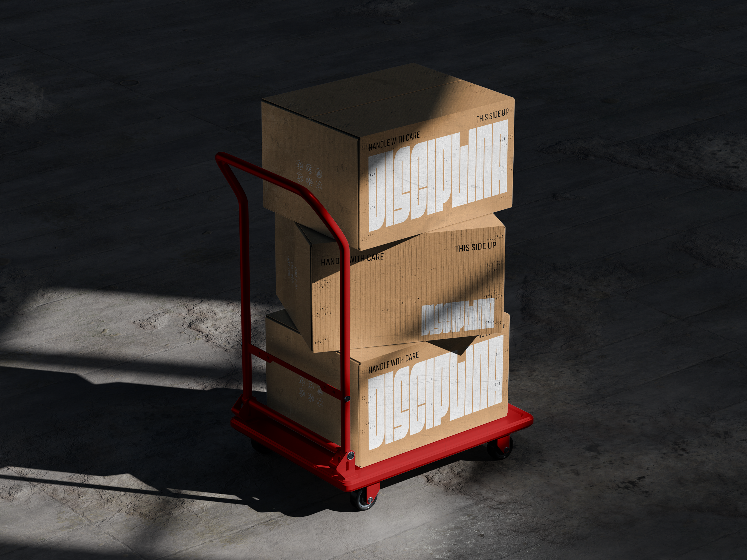BOX MOCKUP.png