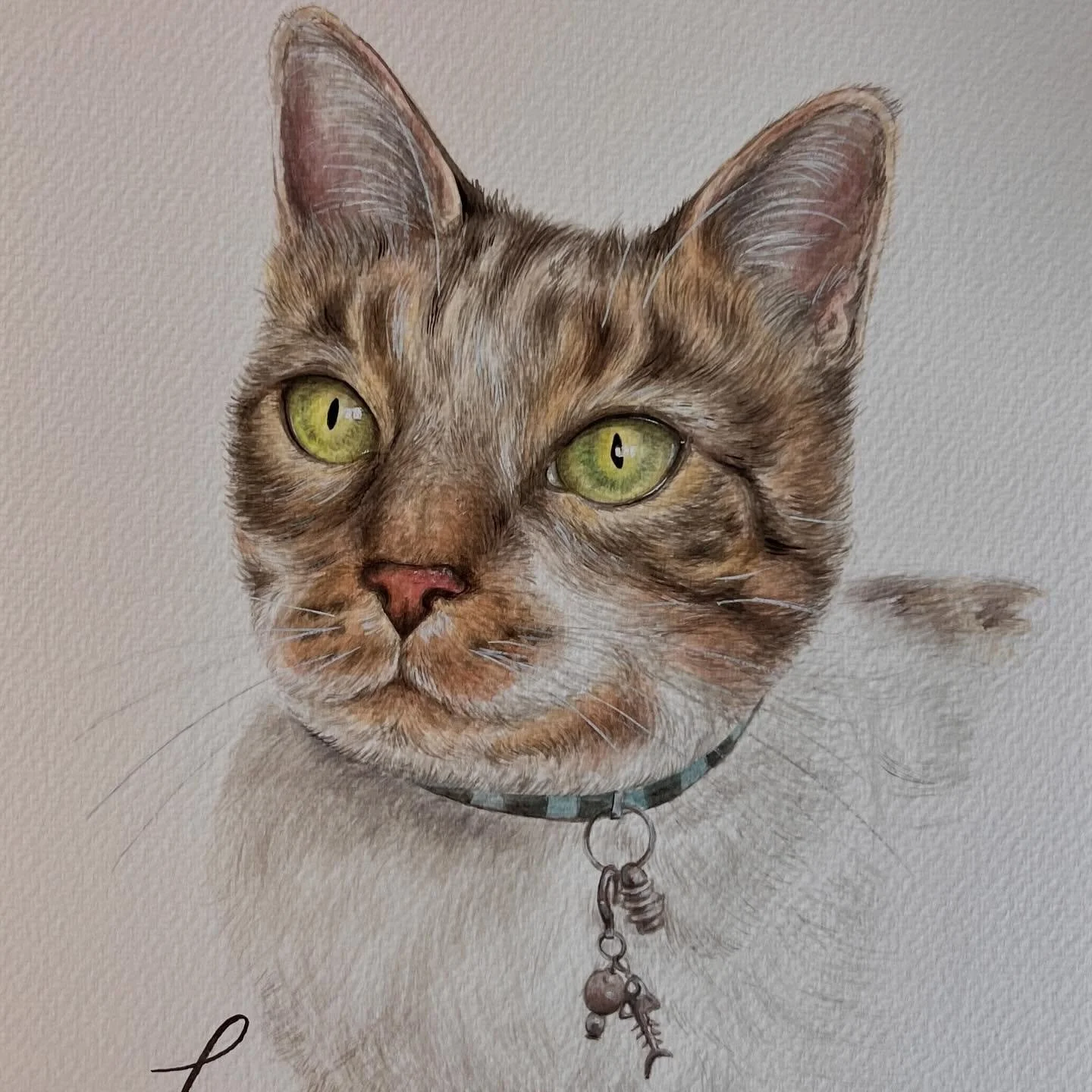 May is such a busy month!
.
This pet portrait commission of lovely Lexi is about all I've done at my desk for a number of weeks because the weather has been too lovely to sit inside! ✏️ ☀️ 
.
.
.
.
.
.
.
.
.
#petportrait #petportraitspembrokeshire #p