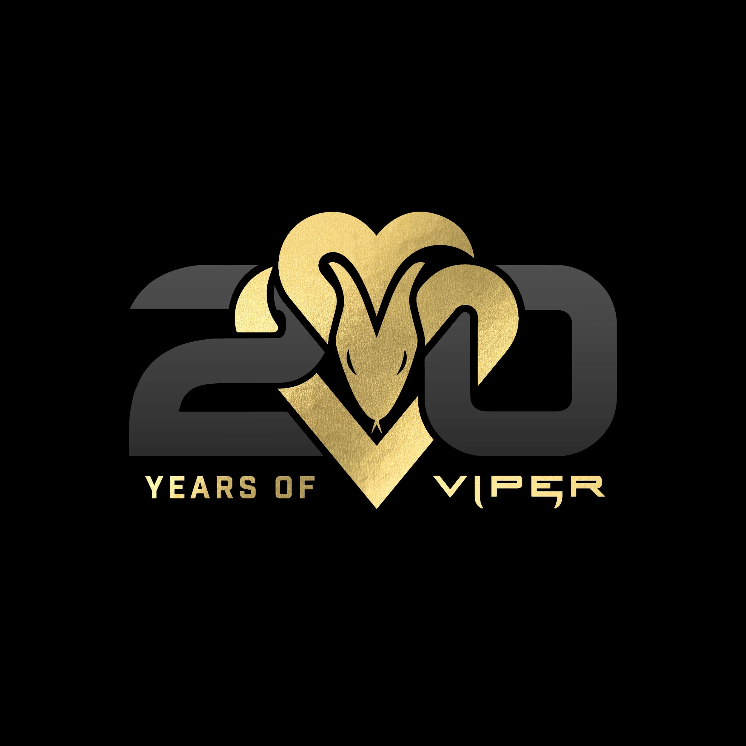 VIPER20 copy.jpg
