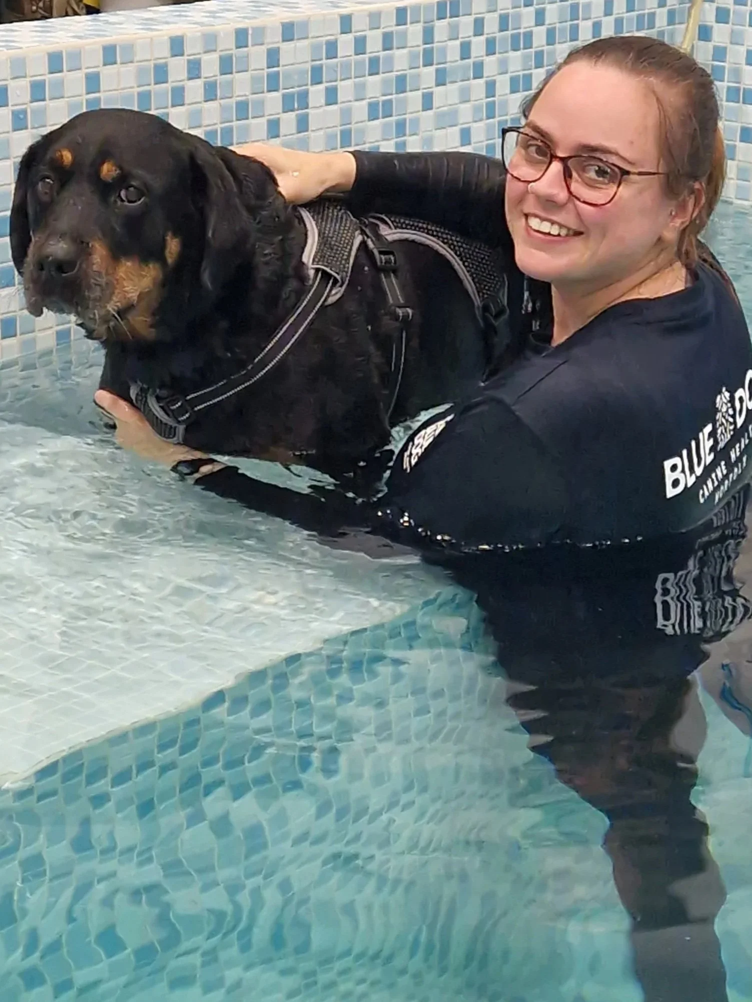 Canine Hydrotherapy Norwich Hydrotherapist