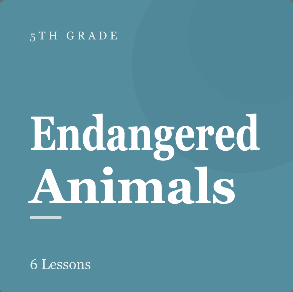 Screenshot 2026-03-13 at 3.03.55 PM.png