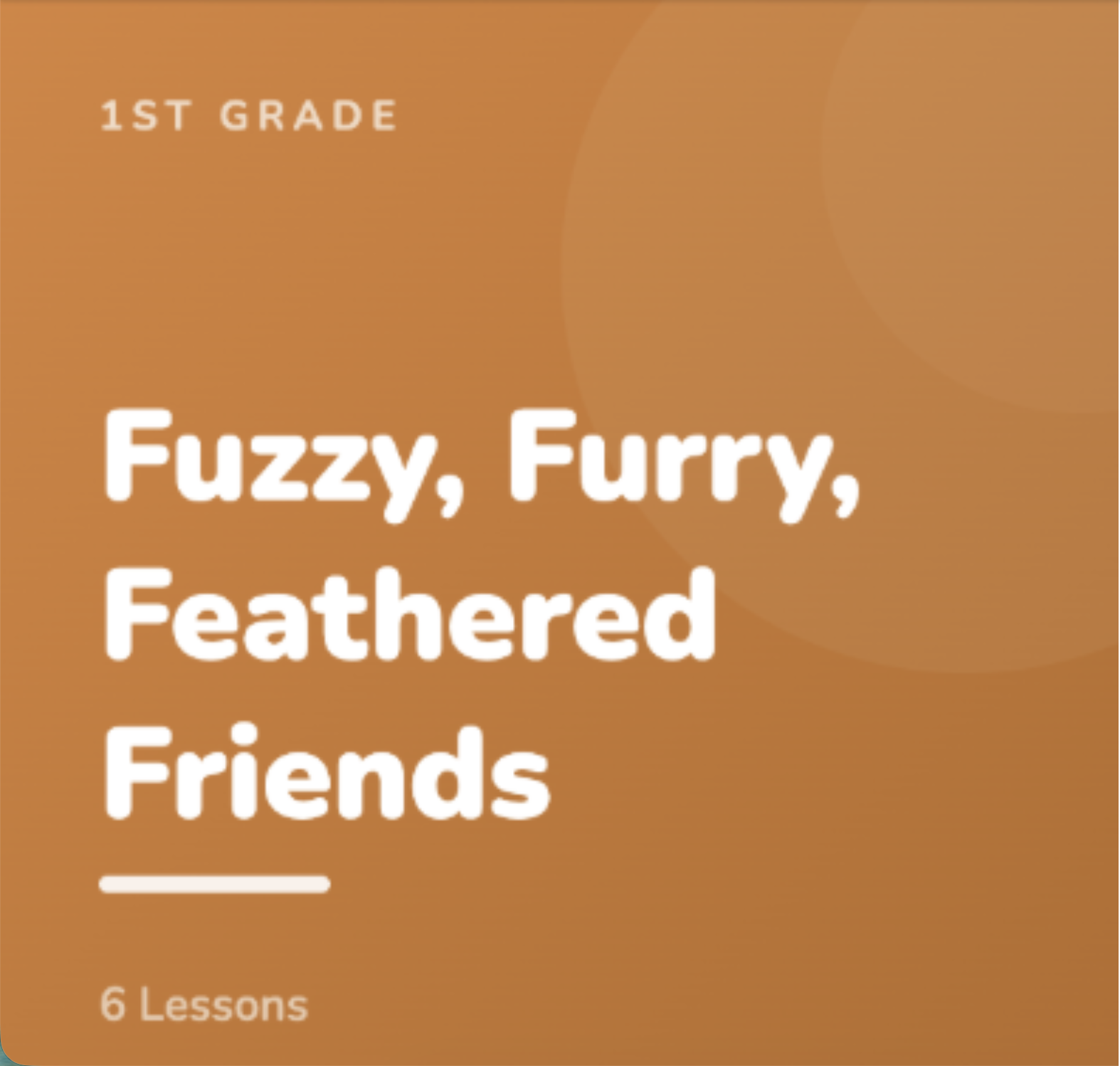 1st Grade: Fuzzy, Furry, Feathered Friends (Session 1)