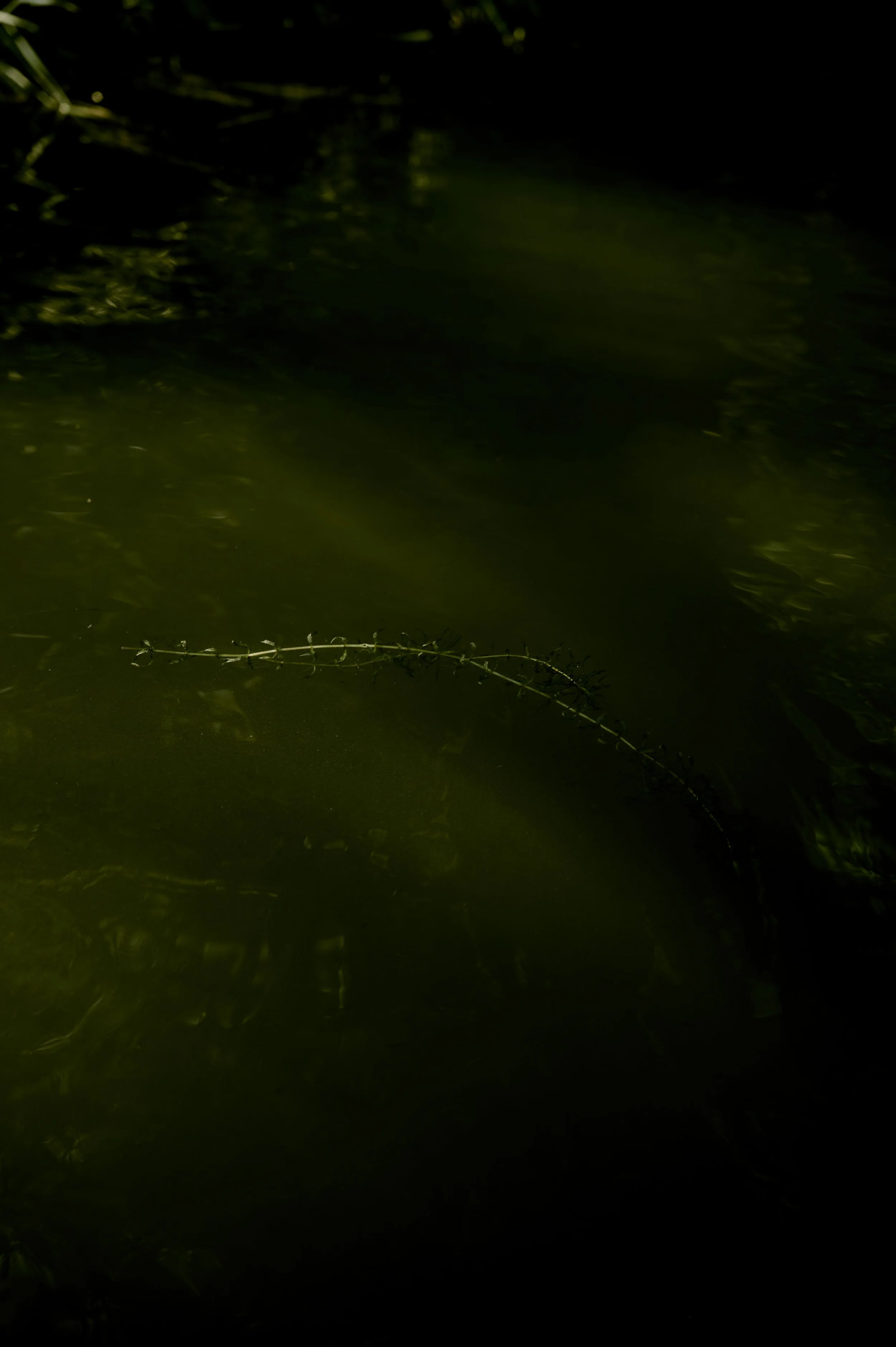Editorial Water Siren Antwerp_Ember Studios_05.jpg