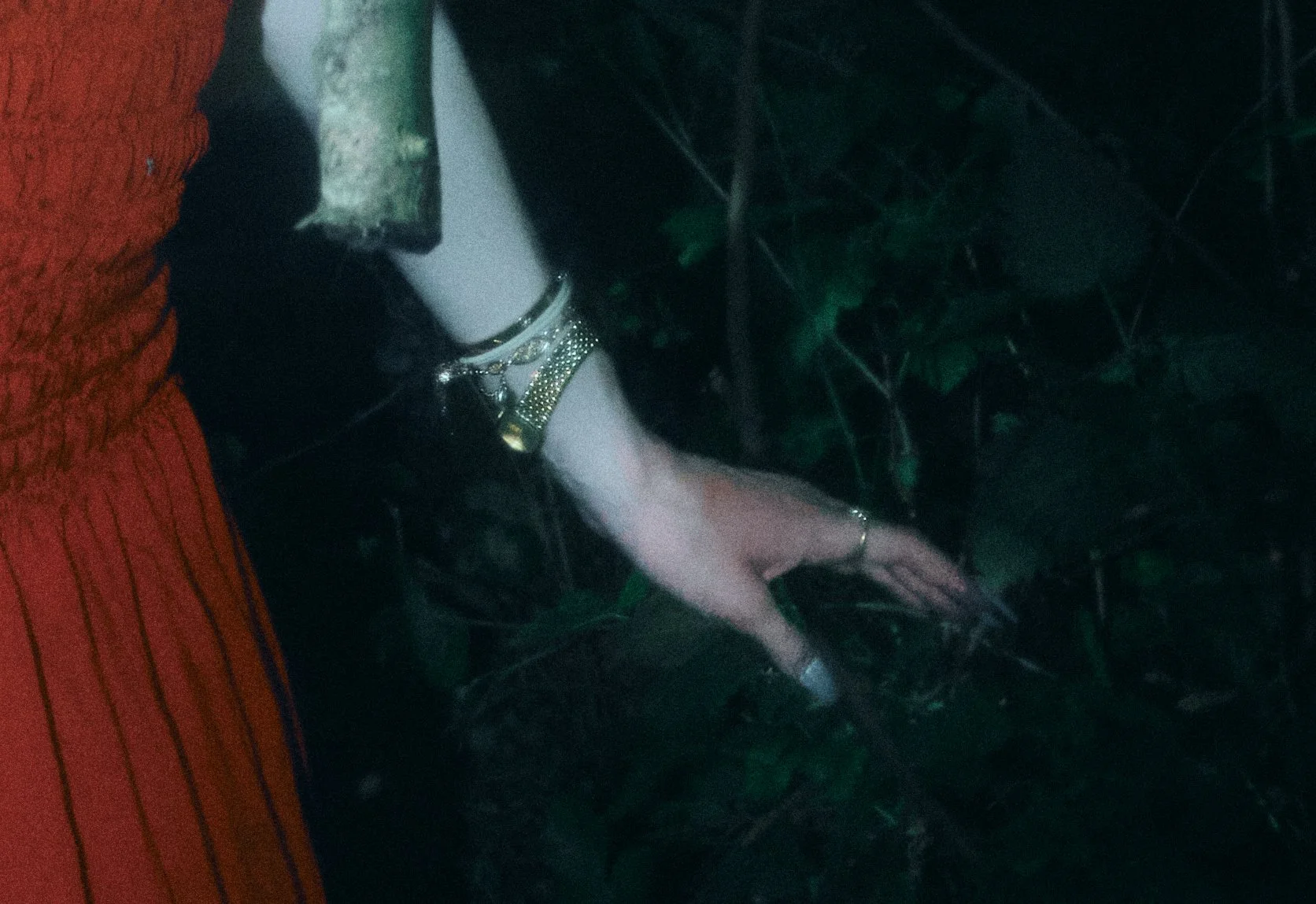 A person's arm and hand with gold jewelry and wristbands, reaching towards dark foliage or plants.