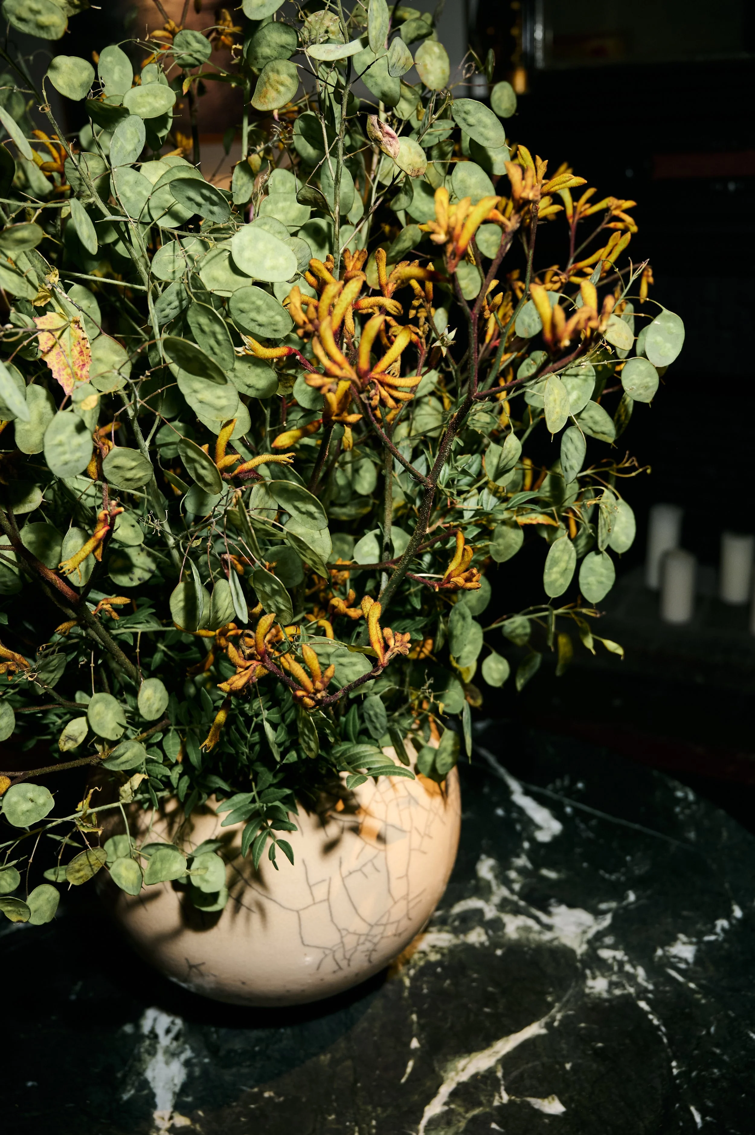 A decorative potted plant with green leaves, some yellowing, placed on a black marble surface streaming with white veins.