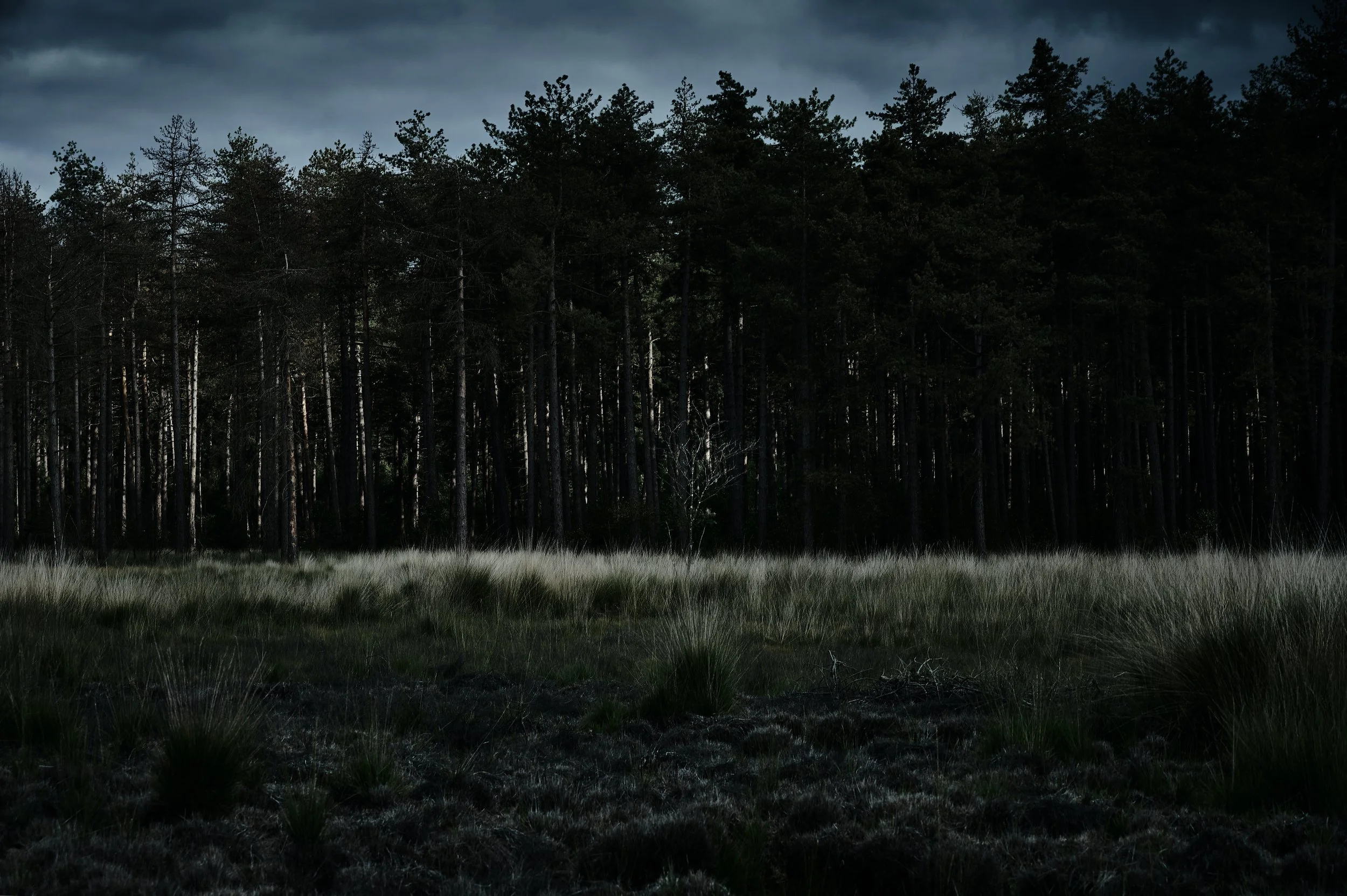 After Sunset_© Ember Studios_4.jpg