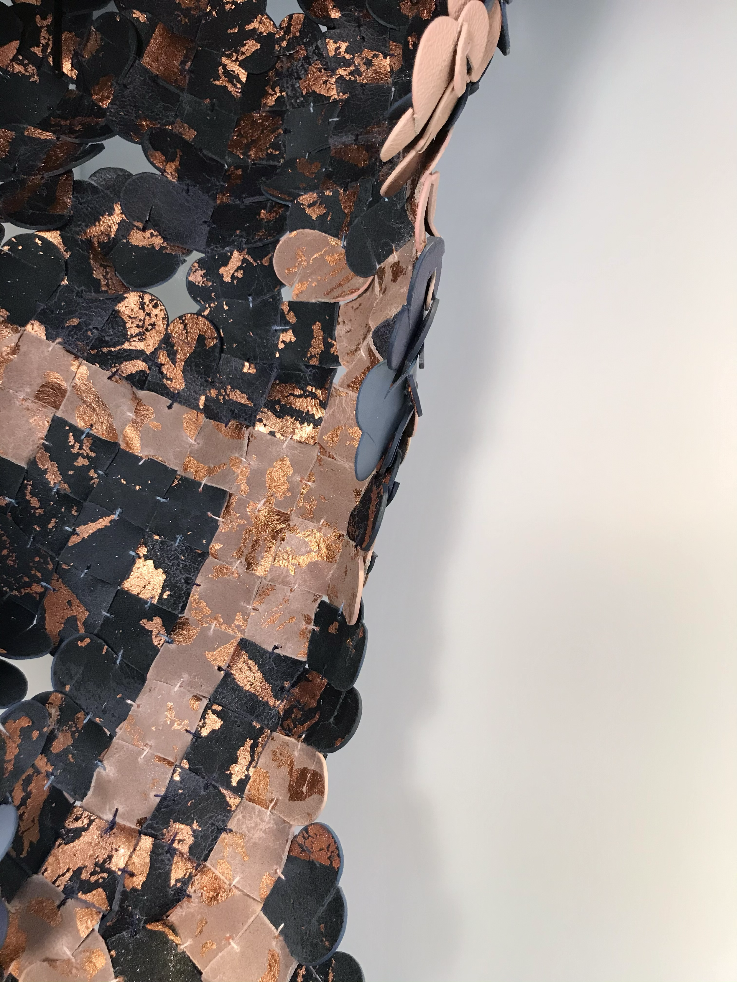 Suspension Euphyllia