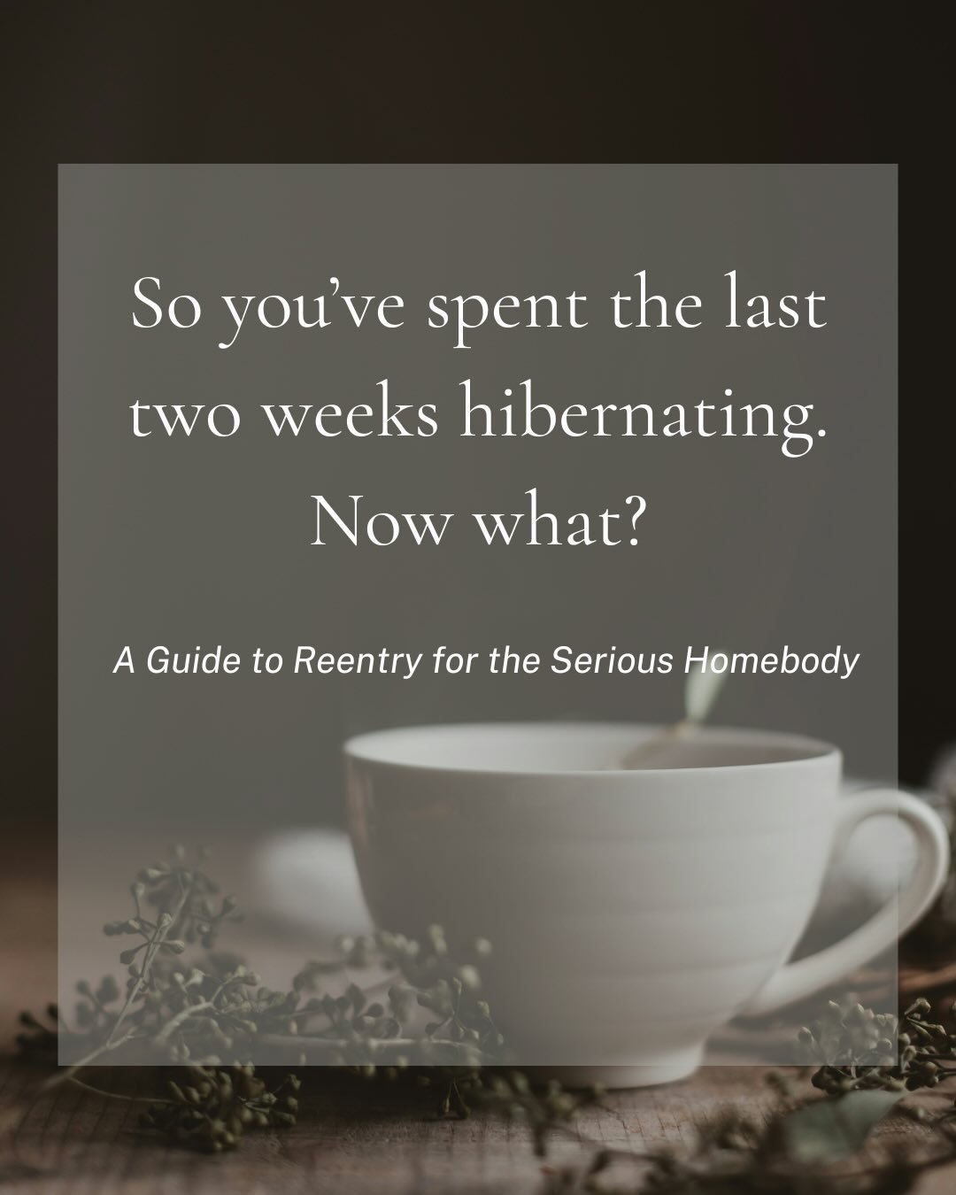 Anybody else not excited to see real life?

My books, loungewear, and I had a wonderful December together and are sorry to see it go, but we always knew this day would come. Until next holiday season. Stay strong, Hibernators. 

#bookstagram #readers