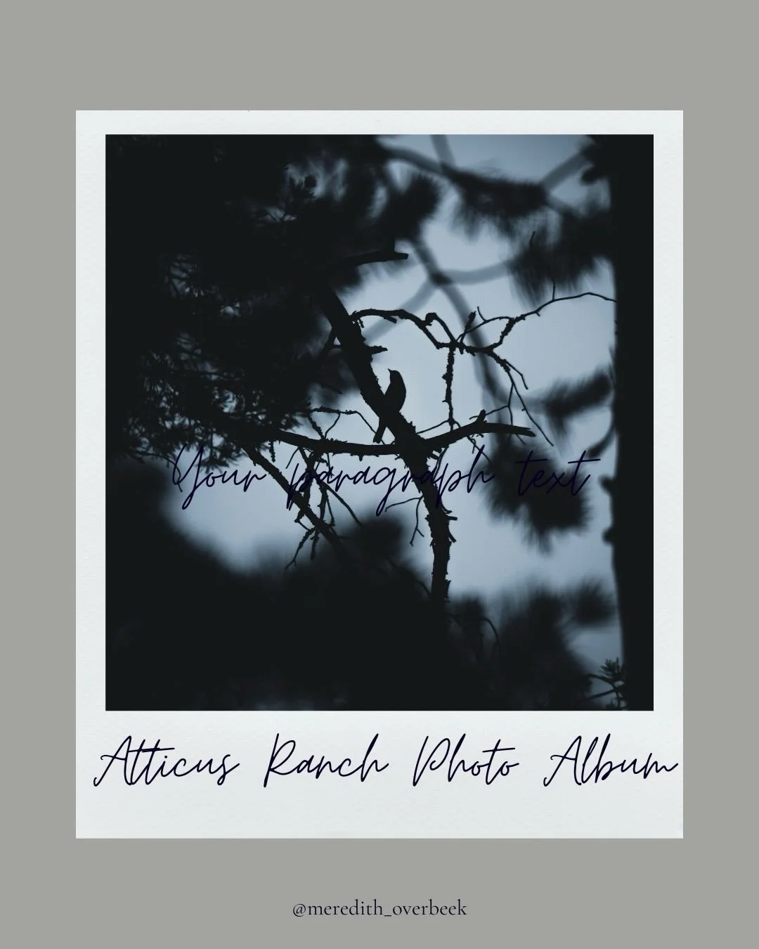 A peek inside my Appalachian gothic novel, coming soon..