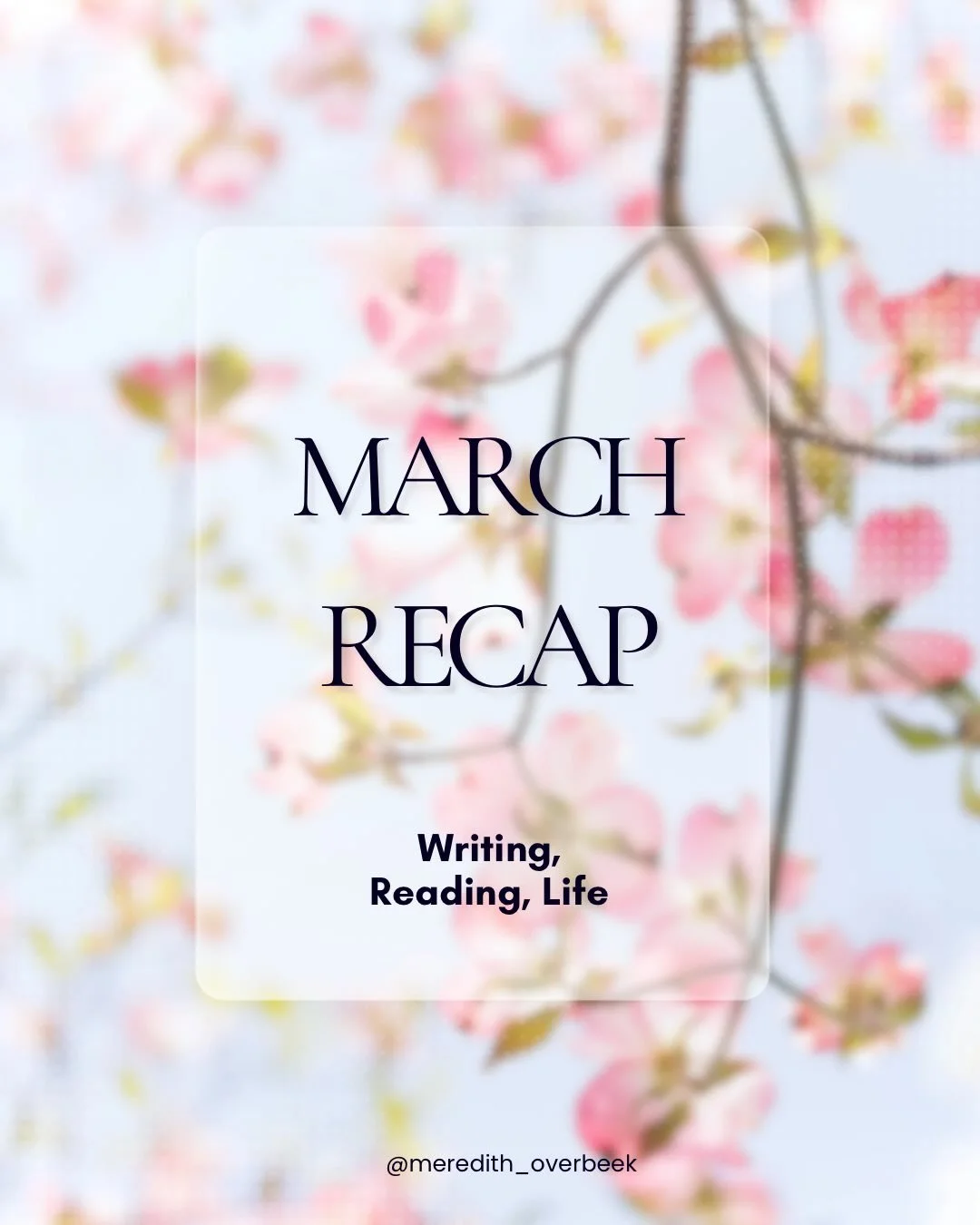 Monthly updates have the year flying by! How is it April already?! 

I&rsquo;ve gotten very (really, very. Extremely, one might even say) comfortable with minimal posting, but I promise it&rsquo;s no reflection on how often I&rsquo;m showing up for t