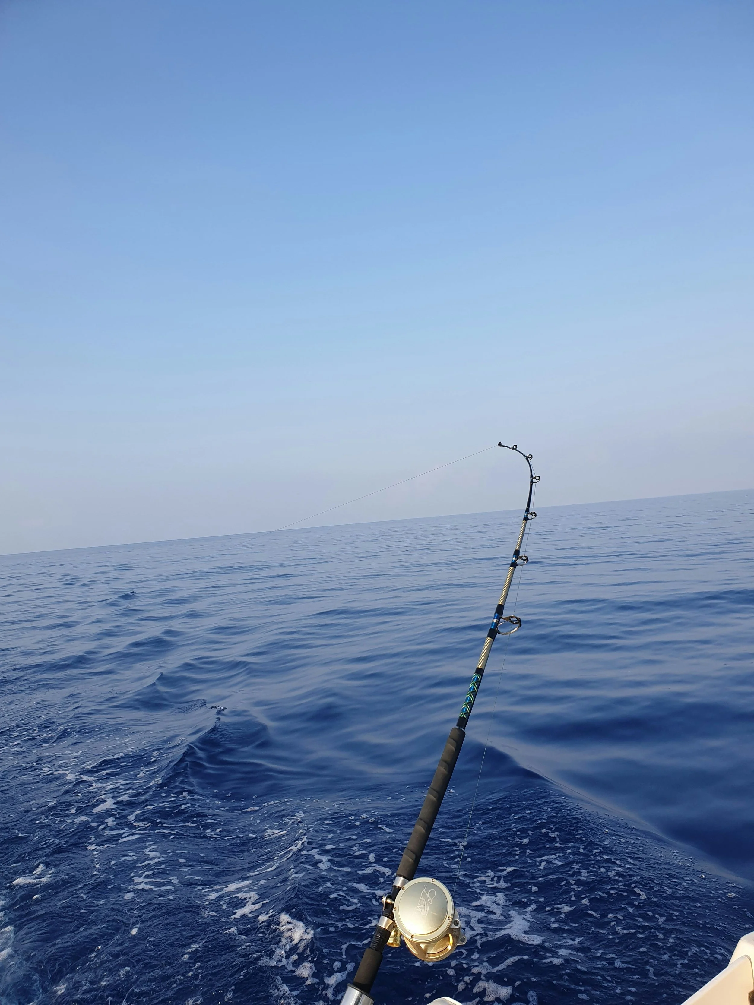 Fishing rod in the ocean, with clear blue sky and calm water, part of a boat in the lower right corner.