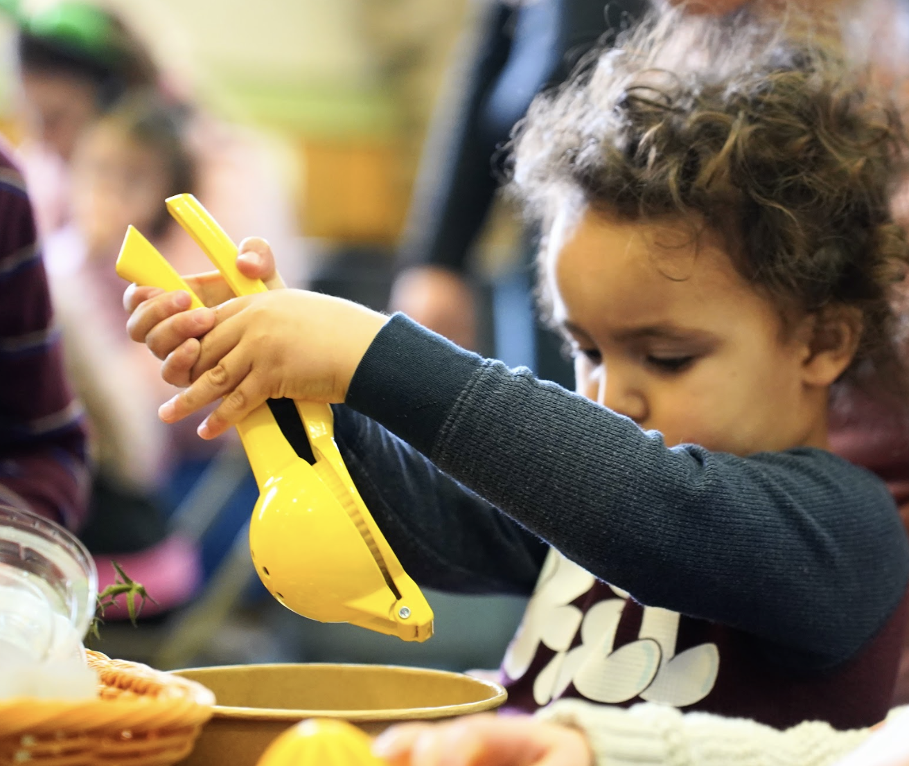 Schechter Mini Chefs