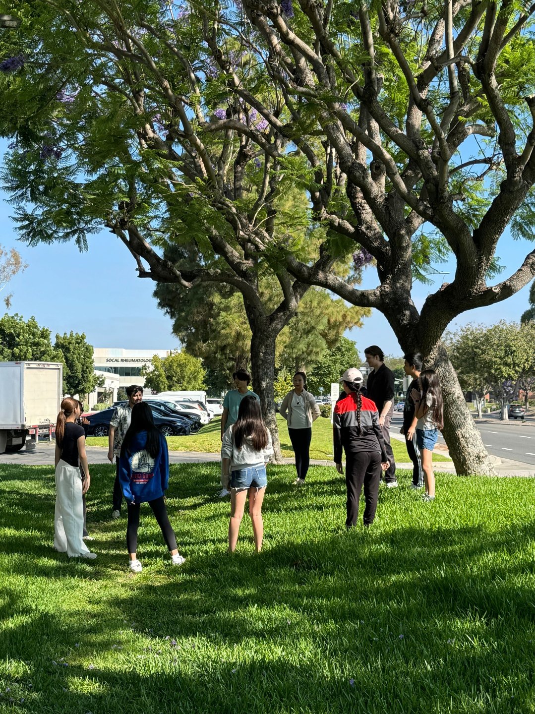 A group of people standing in a circle on a grassy area under a large tree with purple flowers, near a sidewalk and parked cars.