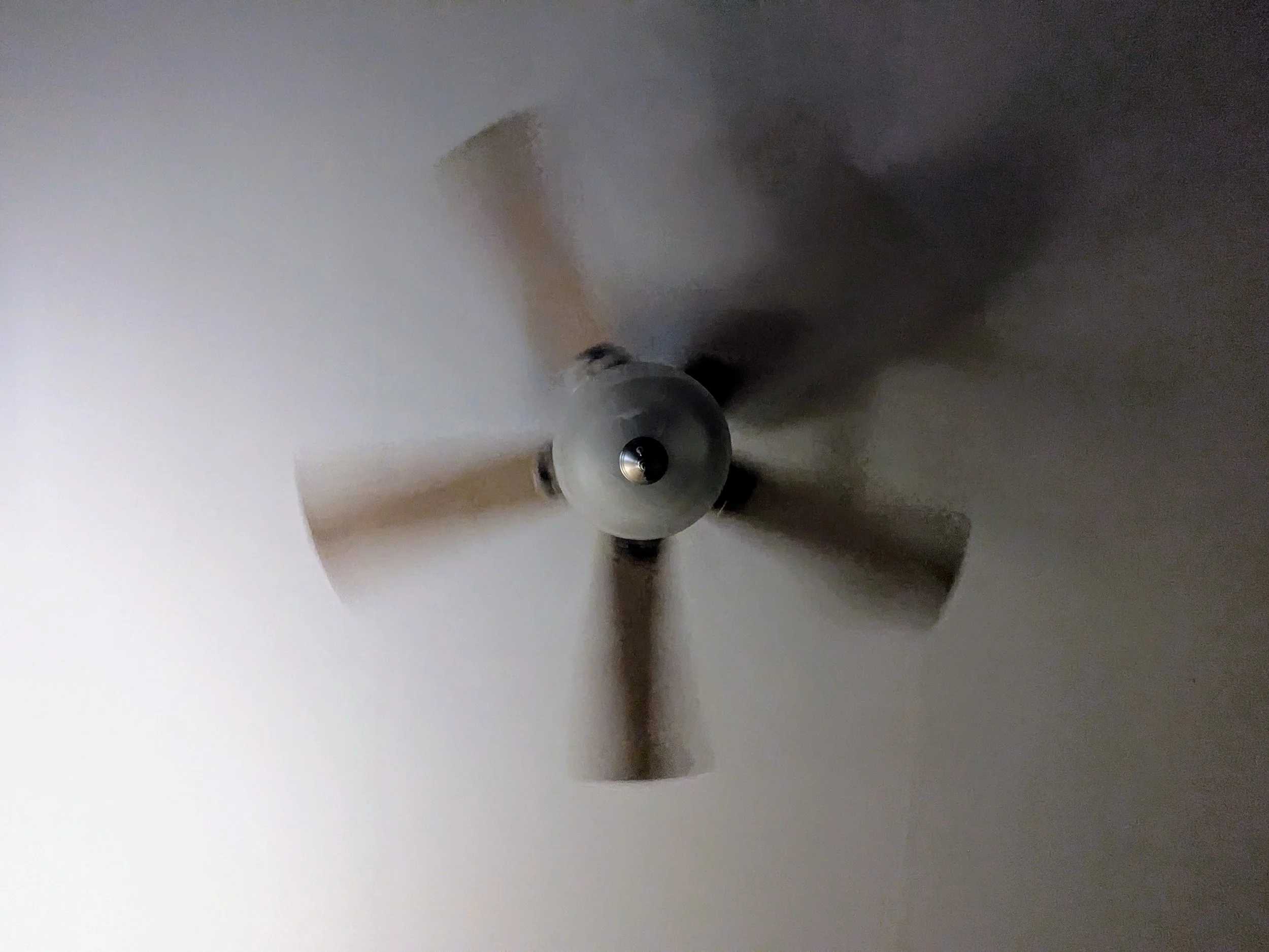 The Ceiling Fan