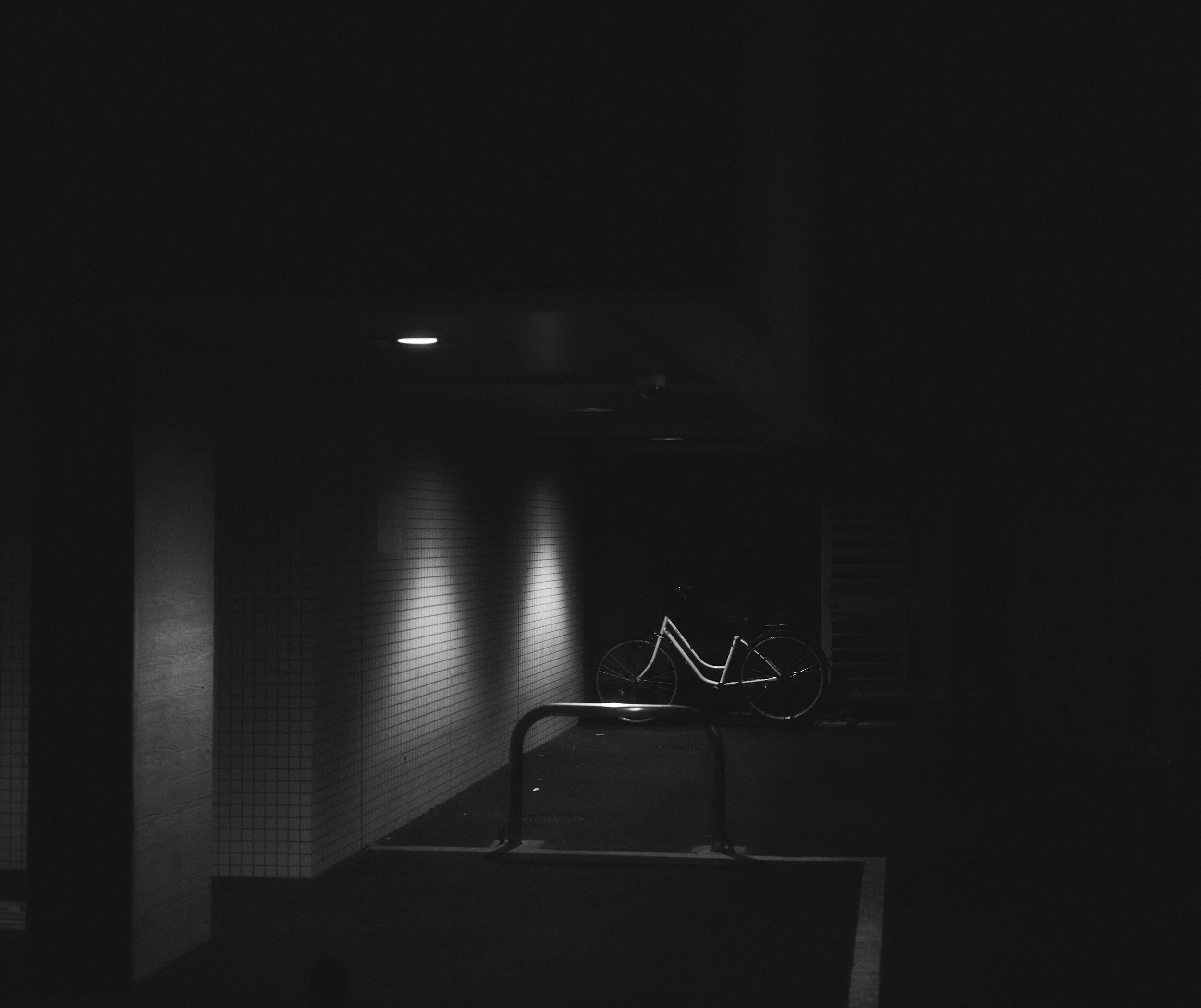 DSC_1199.jpg