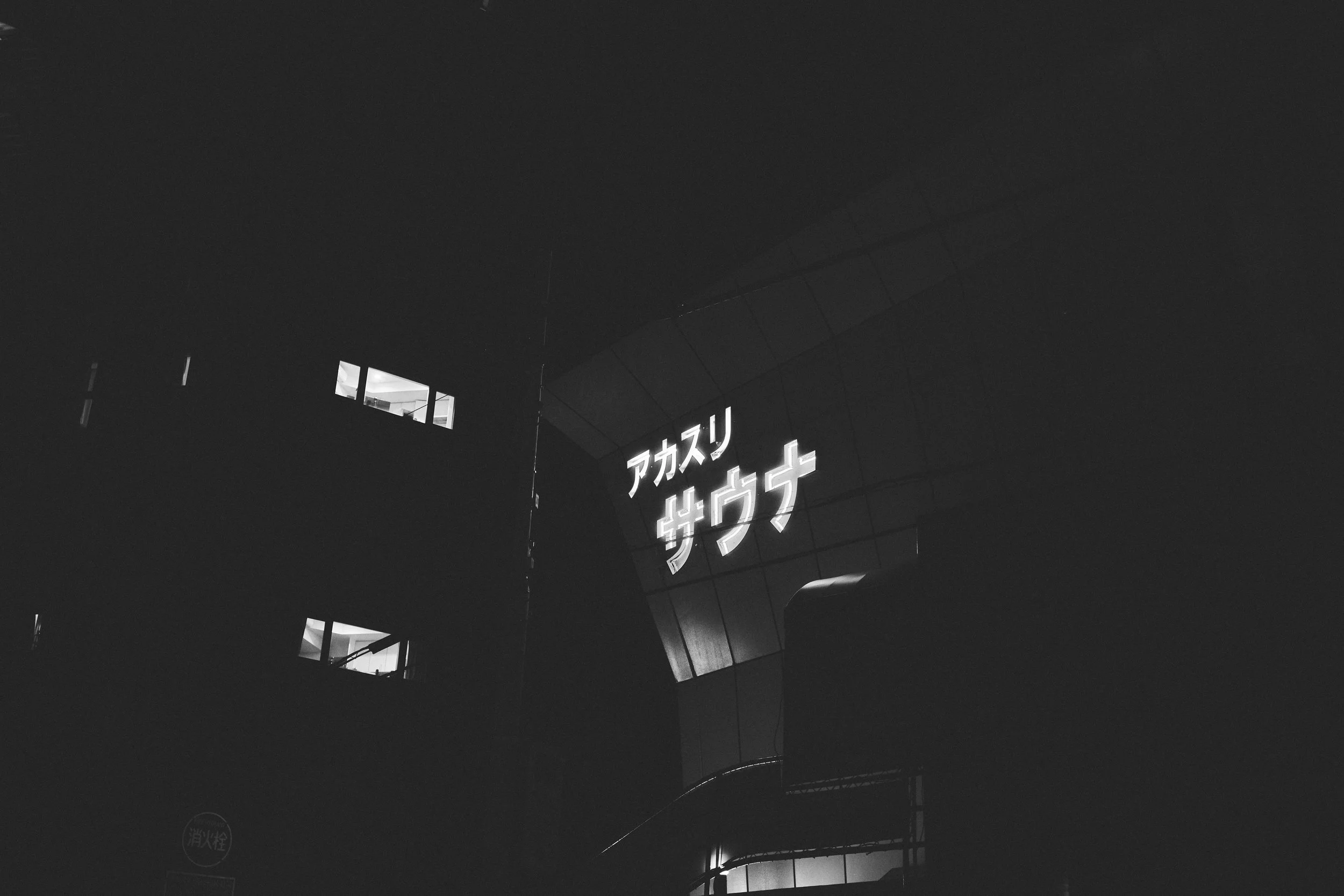 DSC_1154.jpg