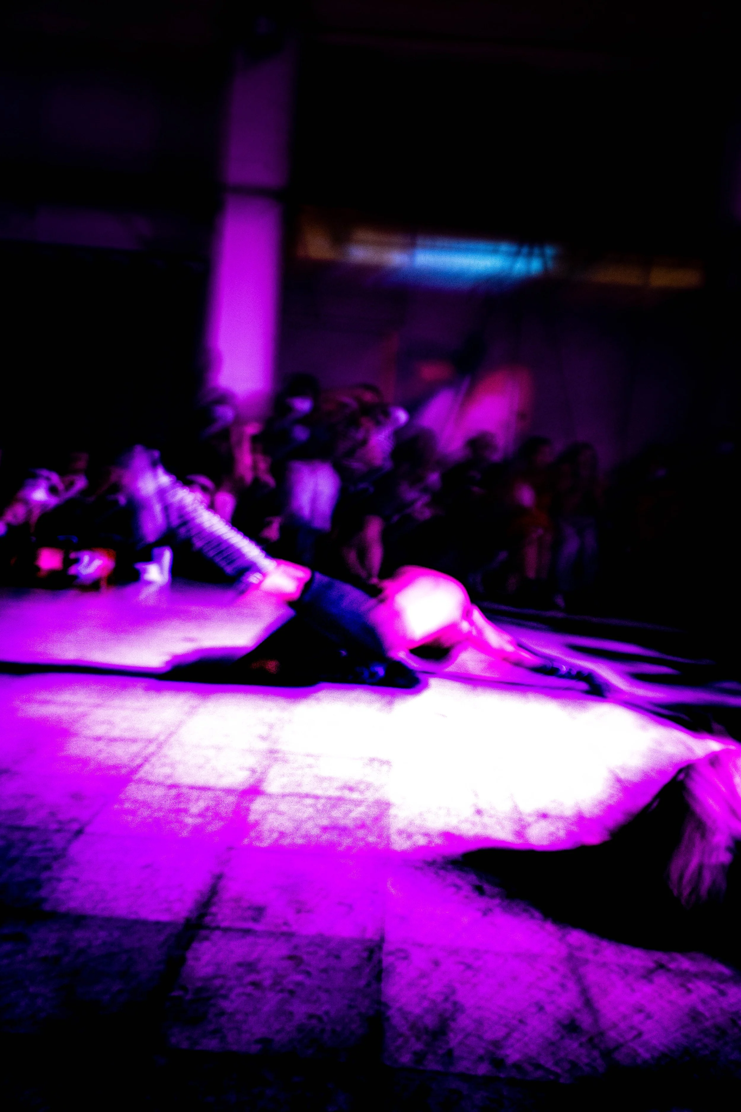 DSC07886.jpg