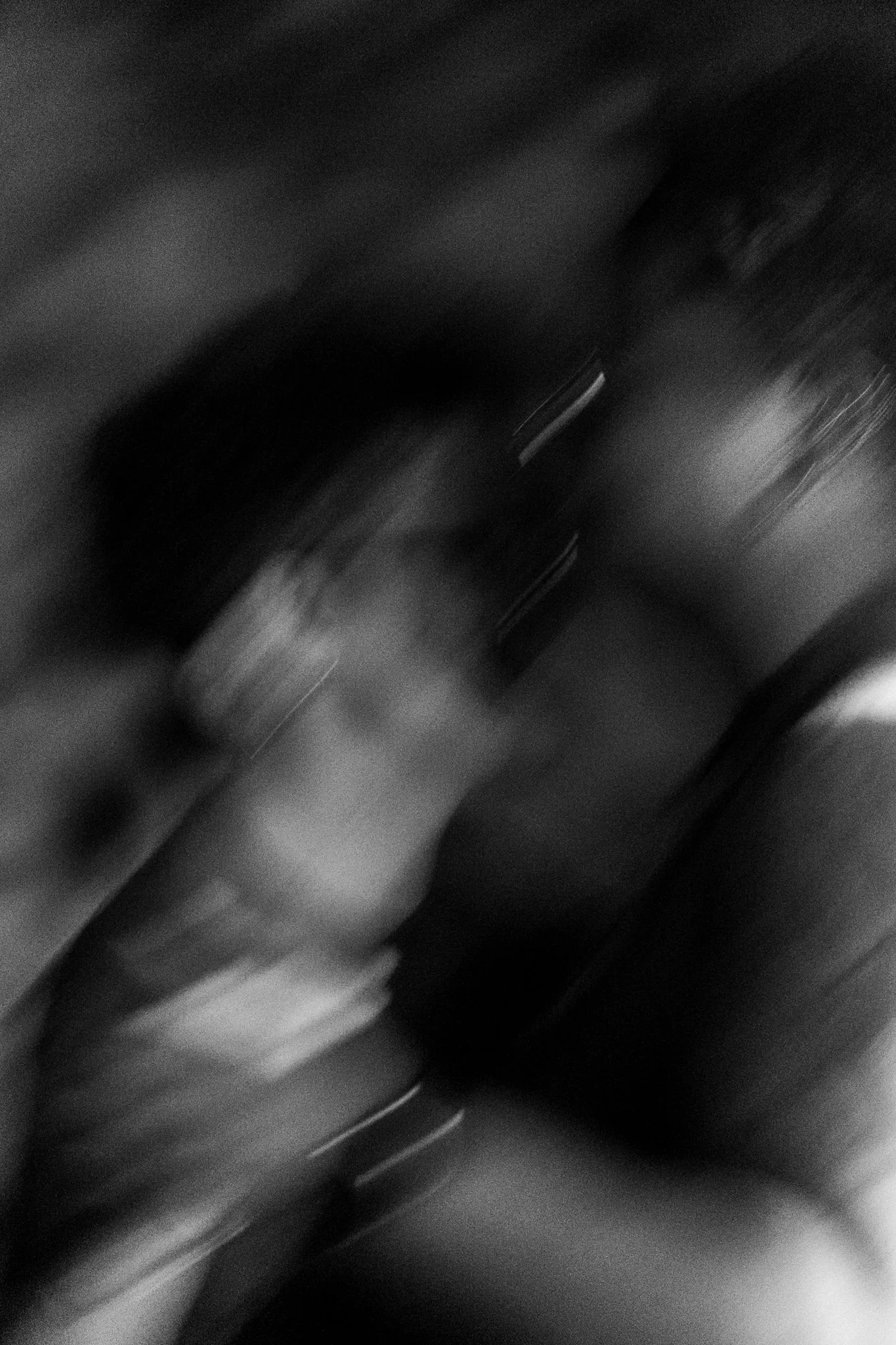 DSC01218.jpg