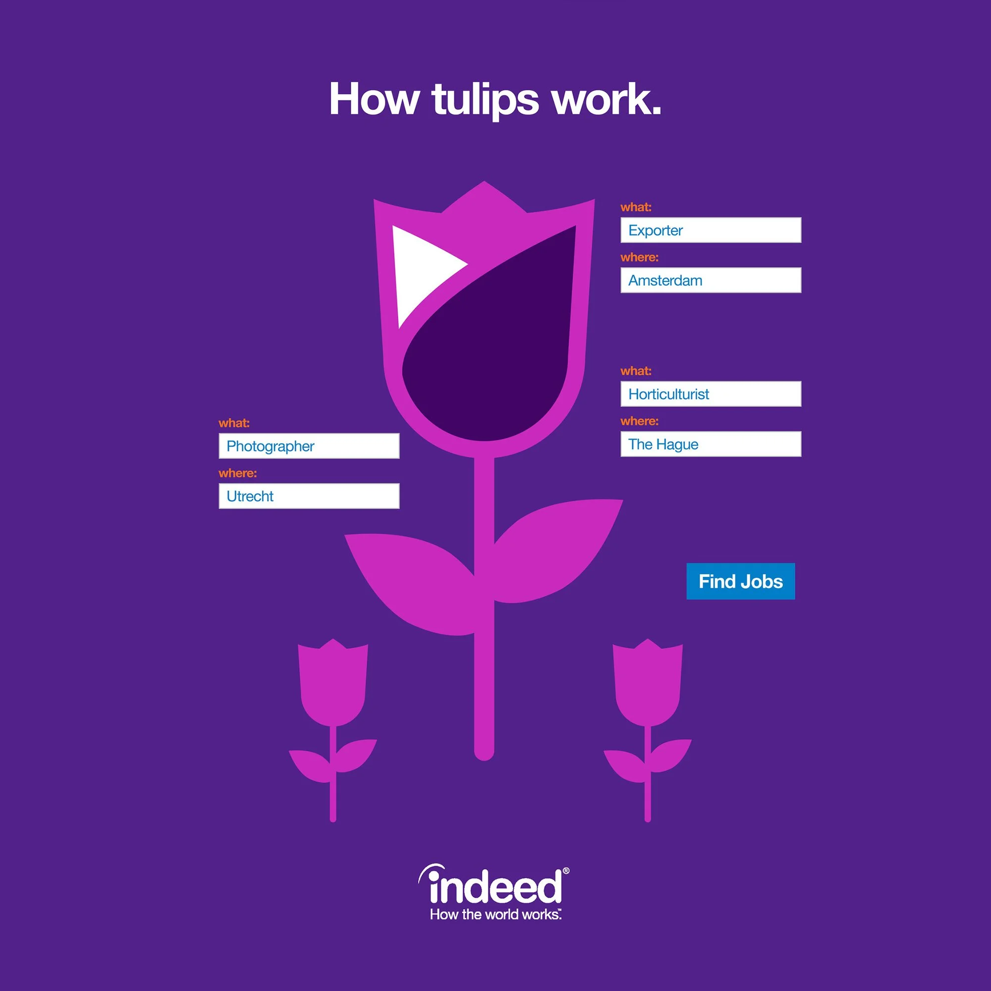A purple background with a stylized illustration of a tulip with three flowers at the bottom. Text on the image reads 'How tulips work' with fields indicating 'what' as 'Exporter, Photographer, Horticulturist' and 'where' as 'Amsterdam, Utrecht, The Hague'. The logos for 'Indeed' and 'How the world works' appear at the bottom.