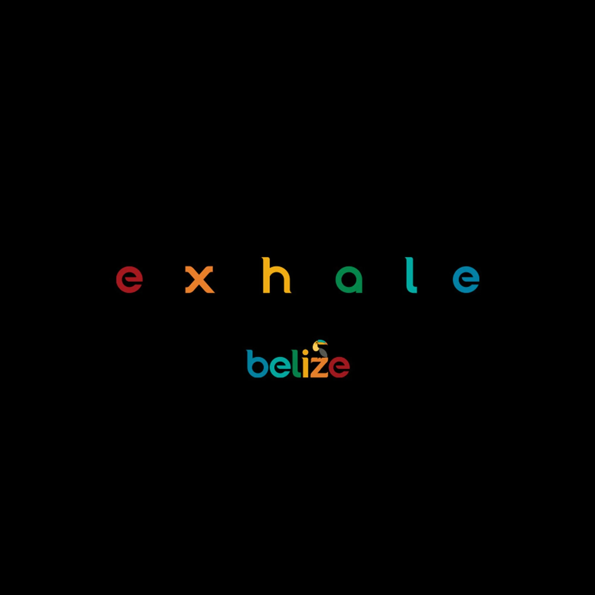 Colorful text spelling out 'exchange' and 'belize' on a black background.