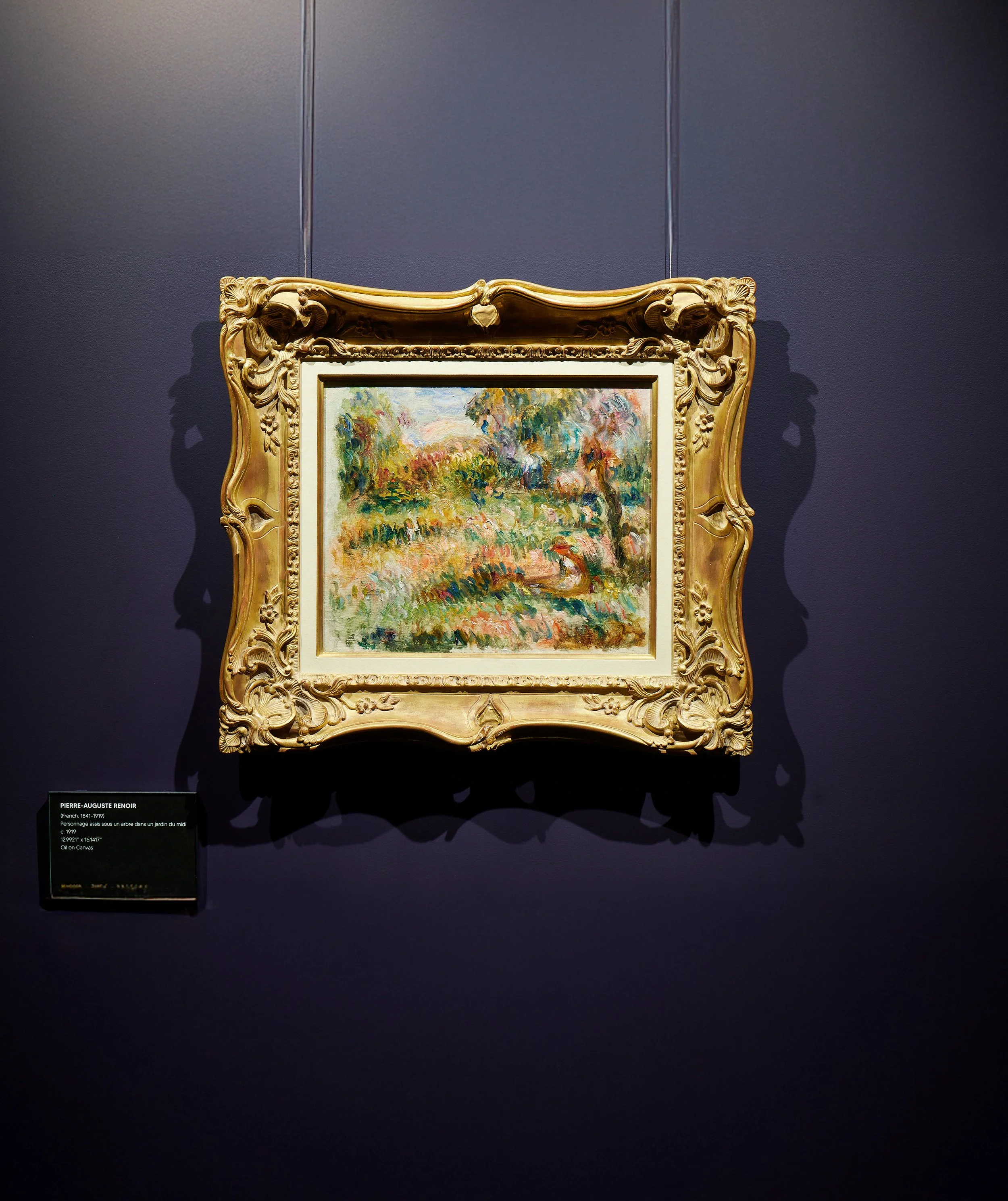 A framed painting of a colorful landscape with trees and bushes, displayed against a dark blue wall in a museum or gallery setting.