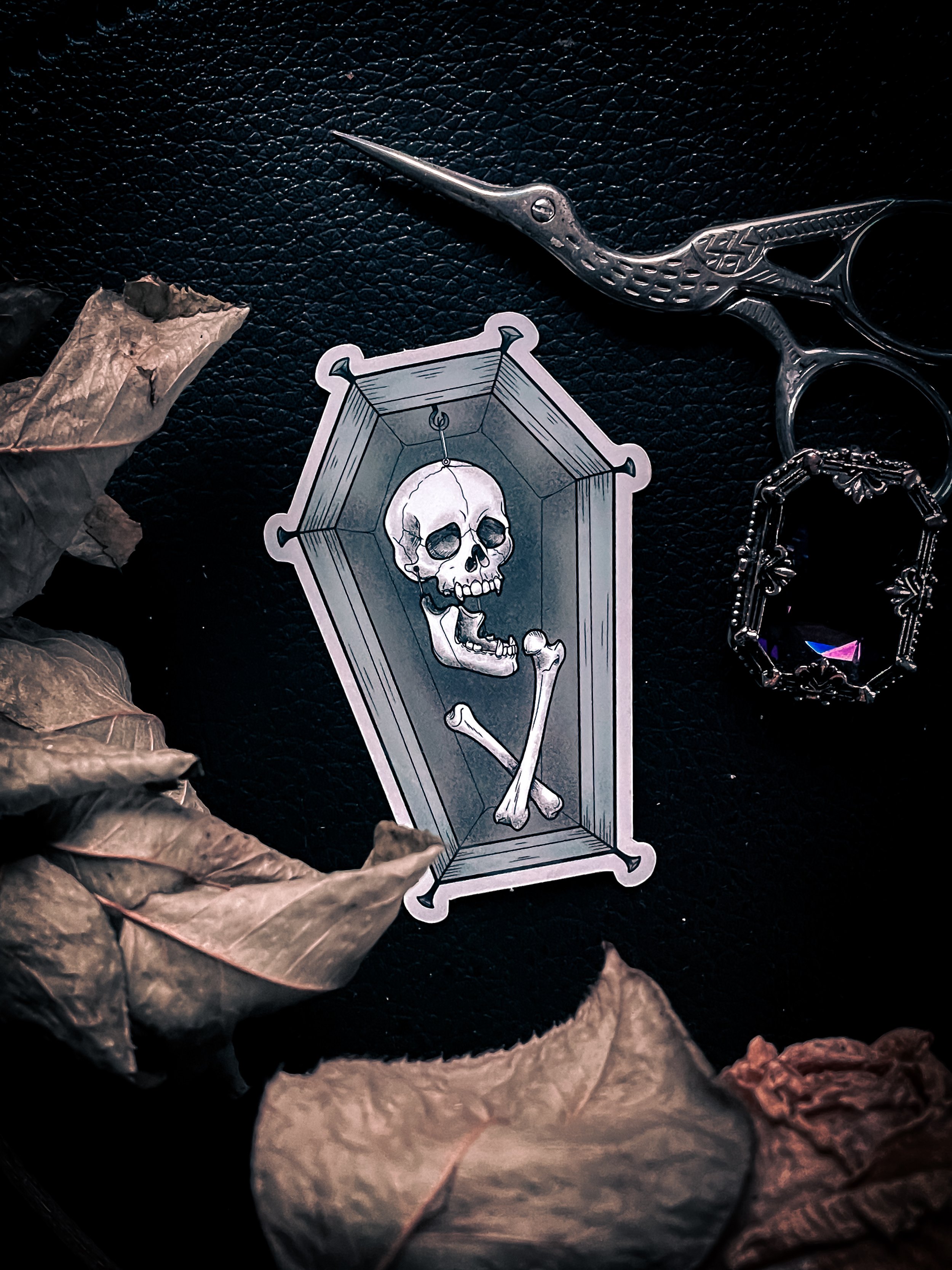 Curiosity Coffin