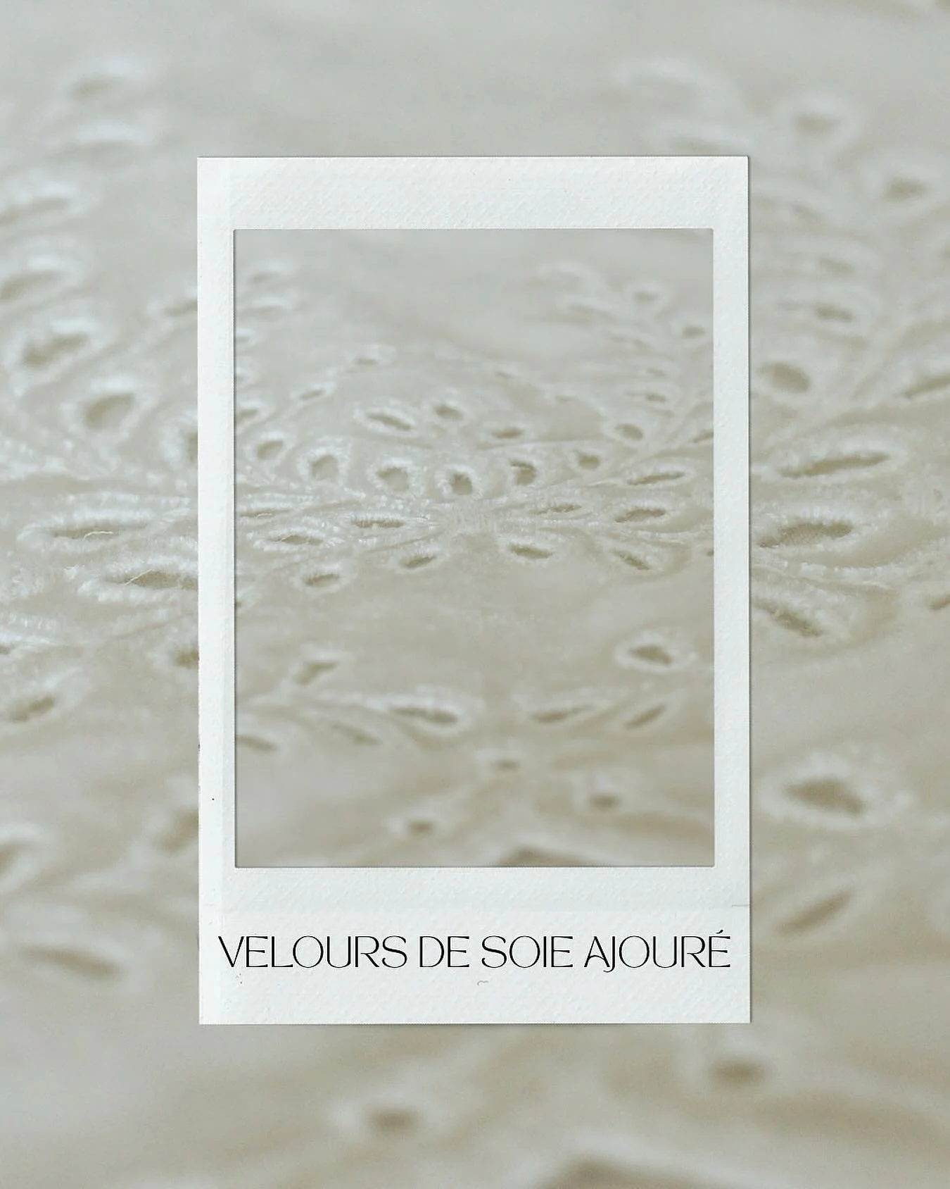 | Velours de soie ajour&eacute;.

La subtilit&eacute; d&rsquo;un velours de soie finement ajour&eacute;.