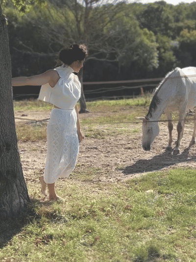 IMG_6684 3-2.gif