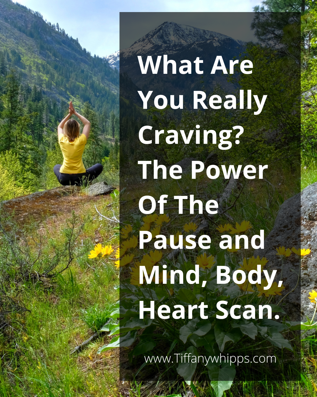 What Are Cravings, Really?