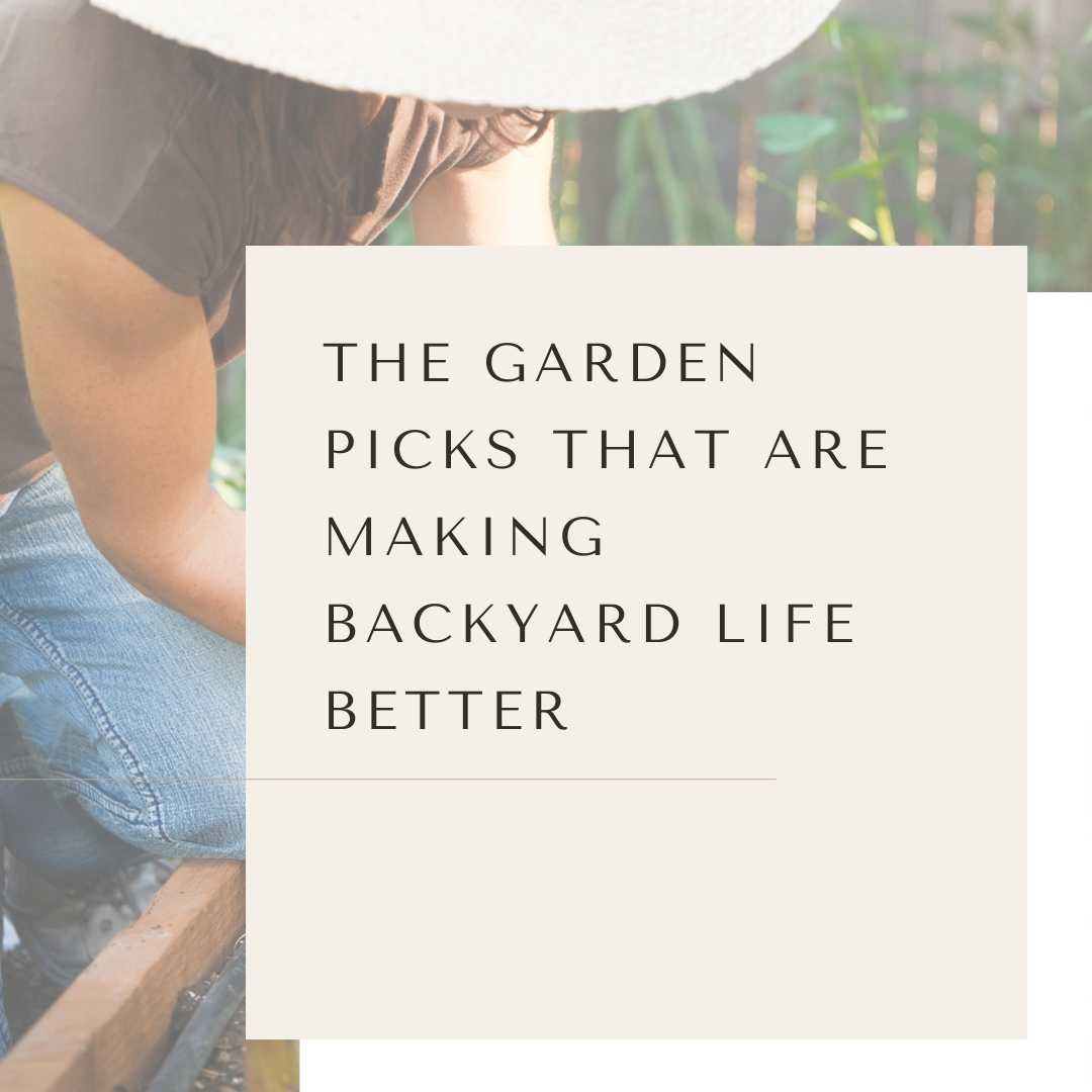 The Garden Picks That Are Making Backyard Life Better