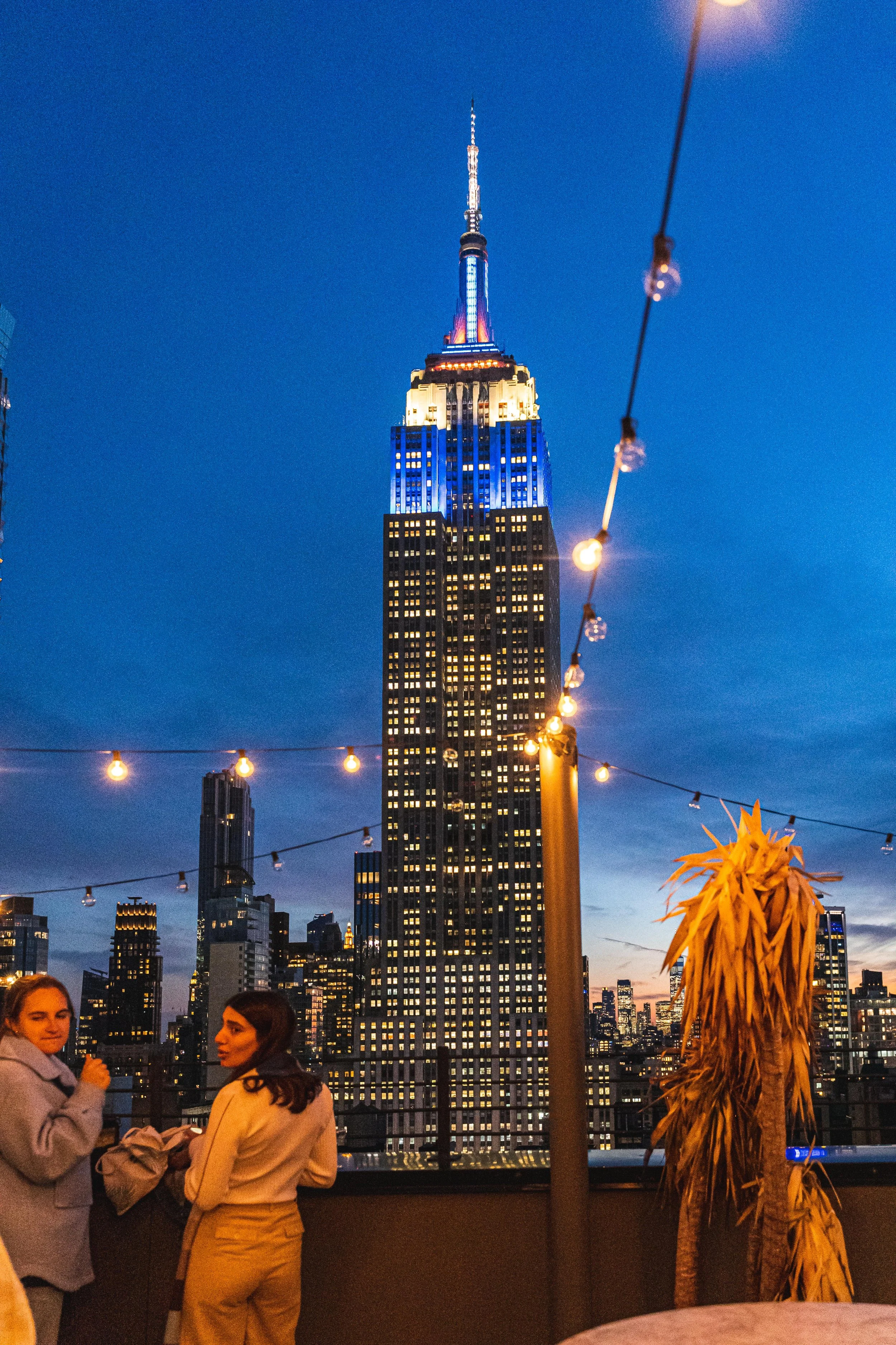 Outdoor rooftop with amazing views of Manhattan Skyline at Daintree