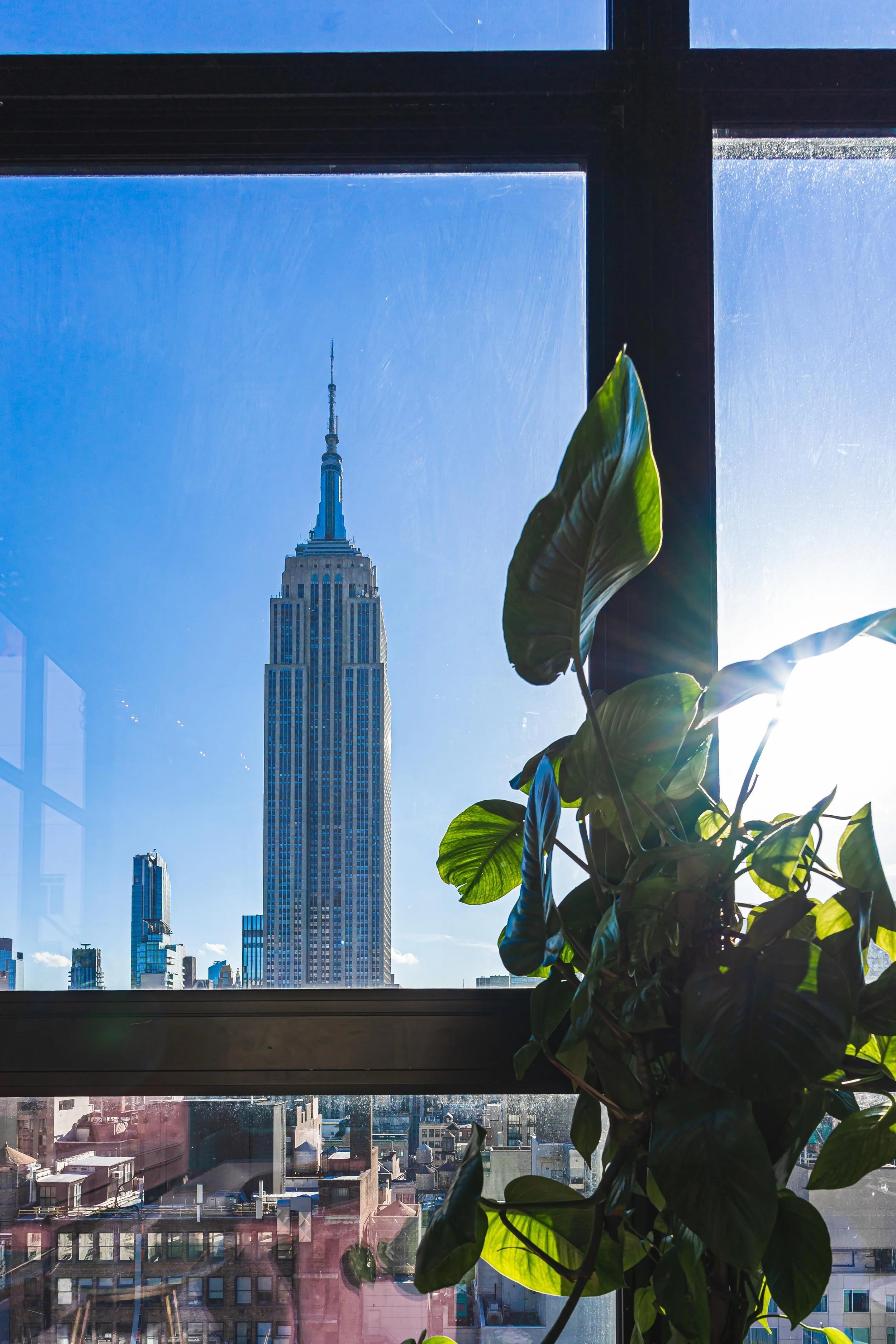 Best View of The Empire State Building at Daintree Rooftop and lounge