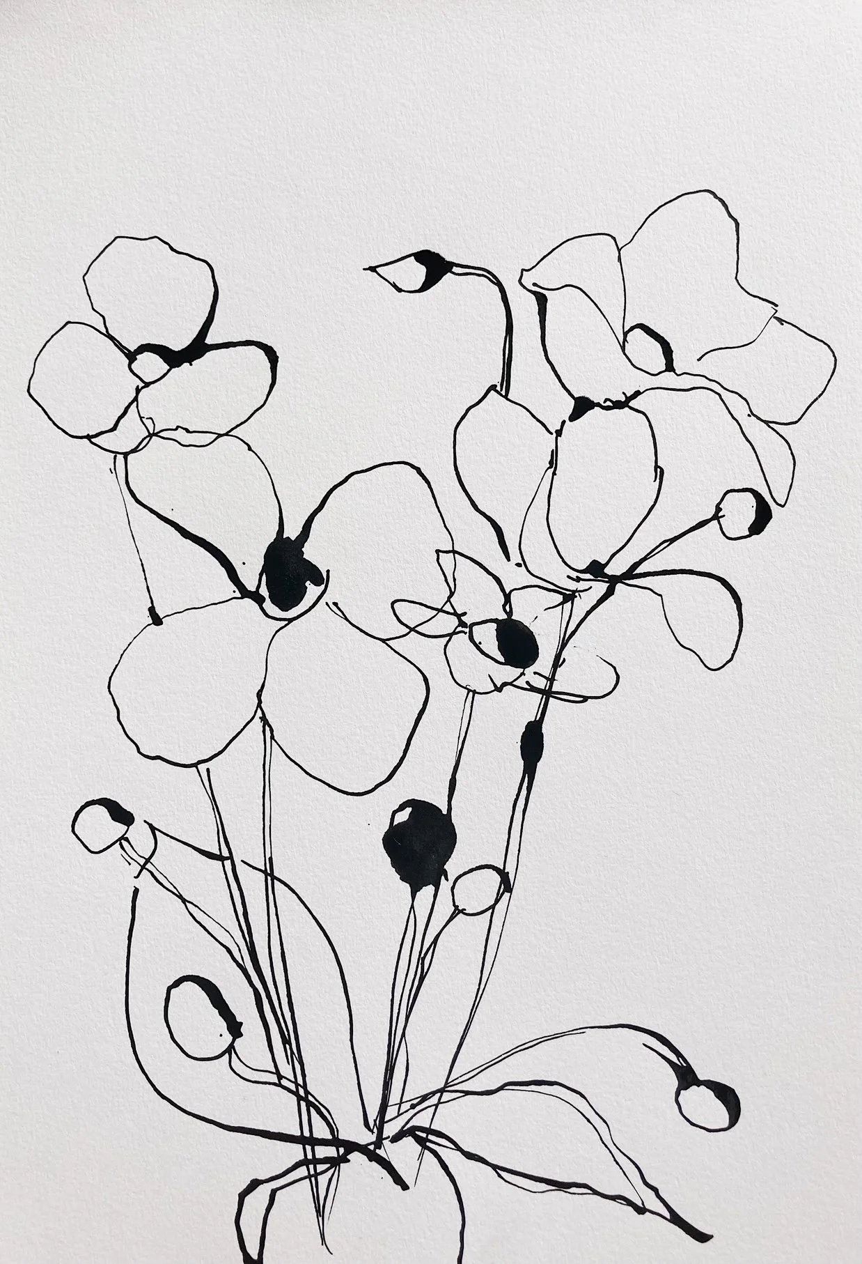 Ink drawing on paper