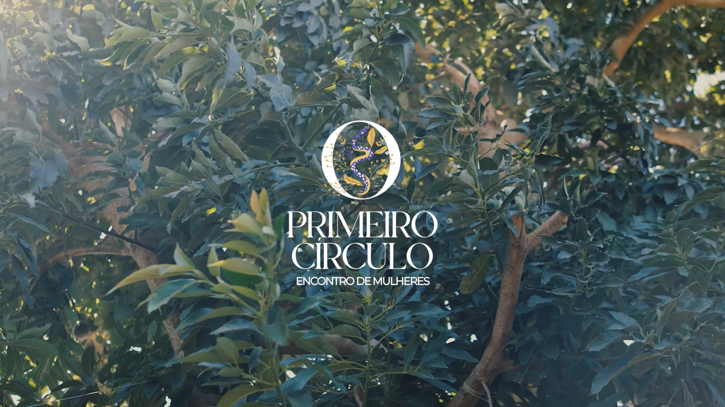 Screenshot 2025-05-15 at 21.40.00.png