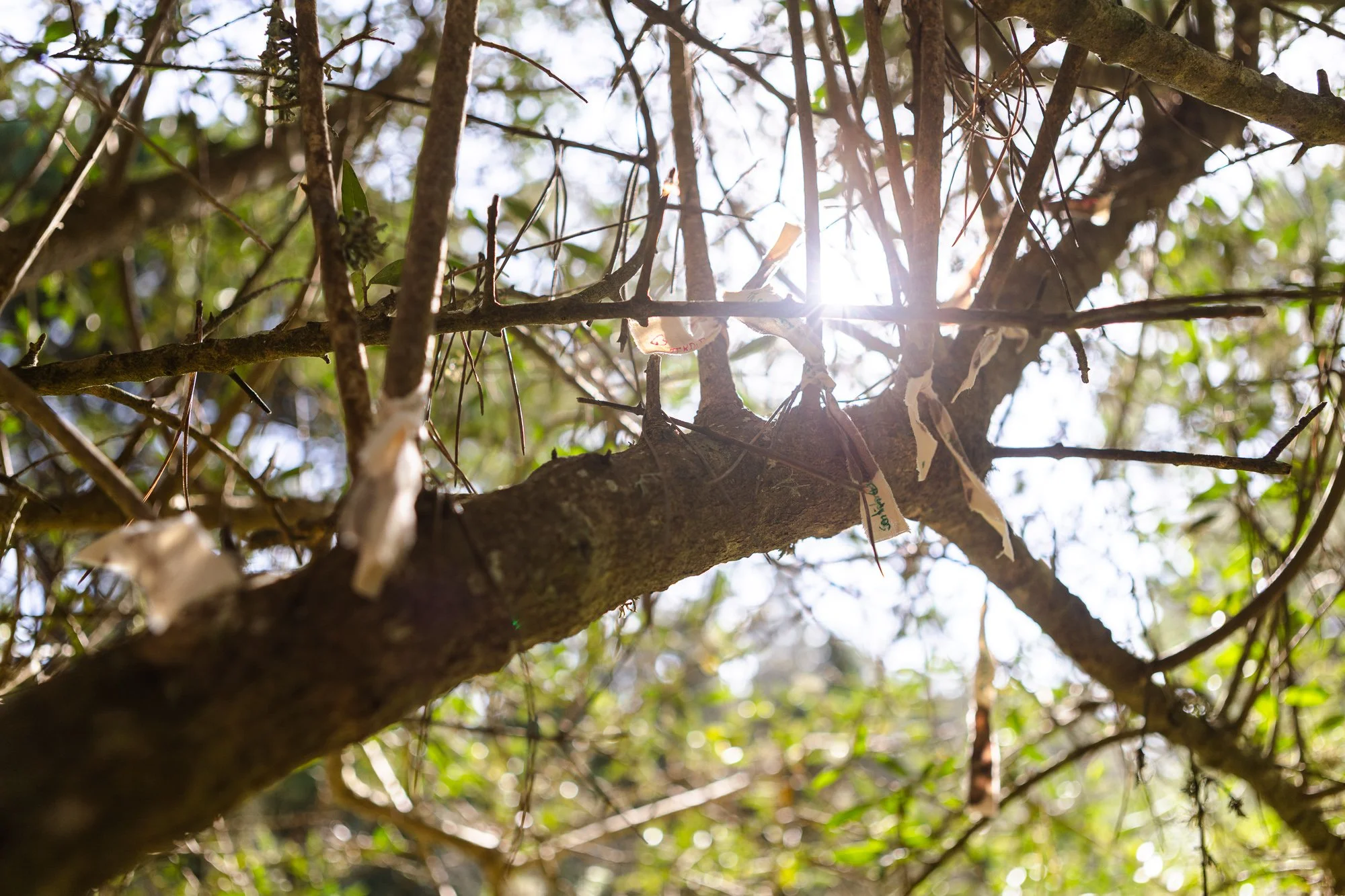 O Primeiro Círculo-90.jpg