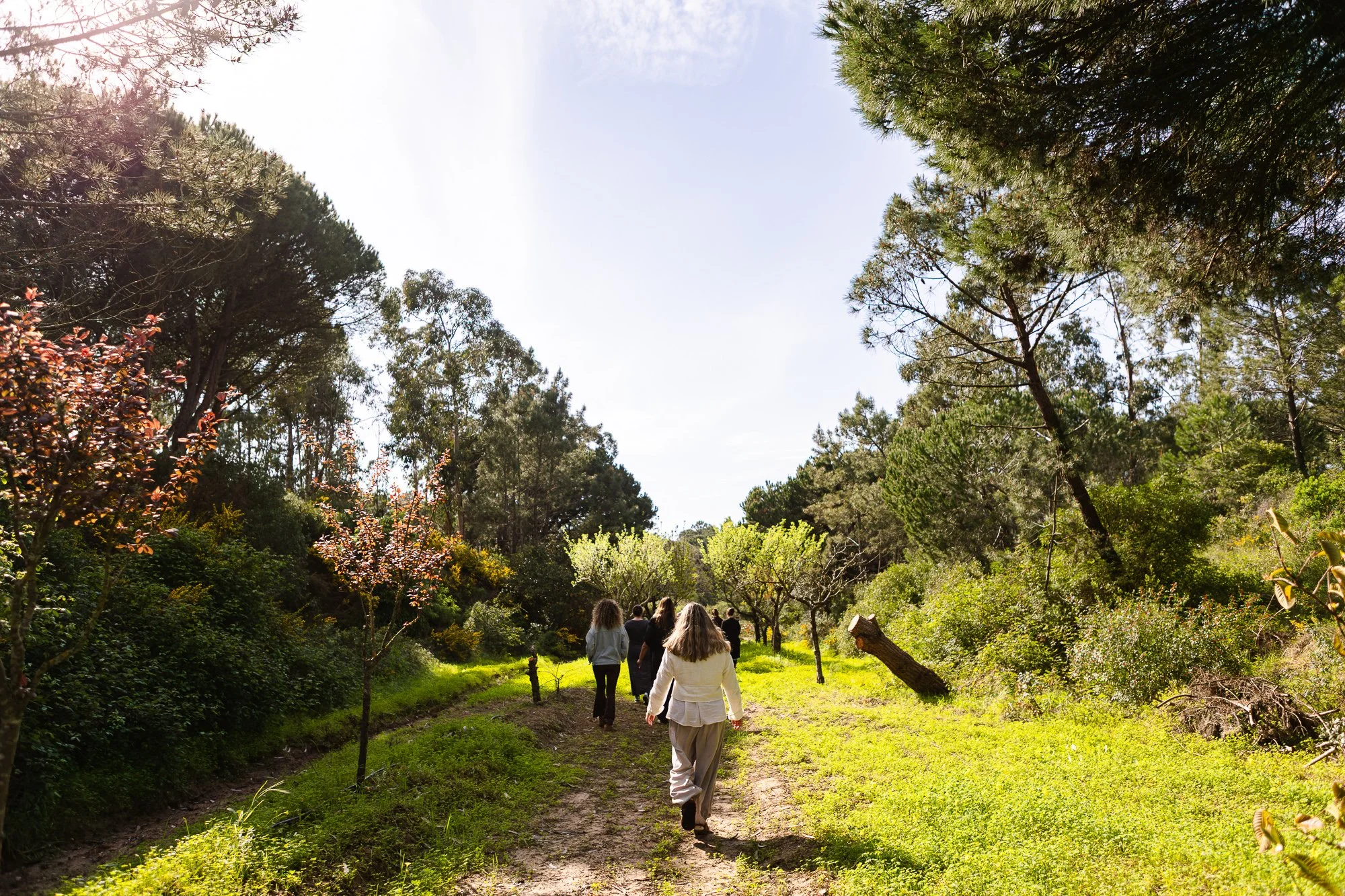 O Primeiro Círculo-84.jpg