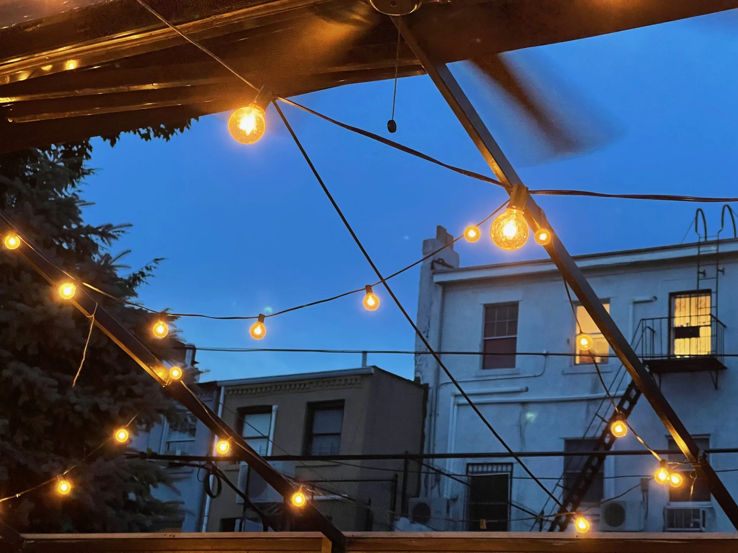 Carol Gardens, Brooklyn, 2021