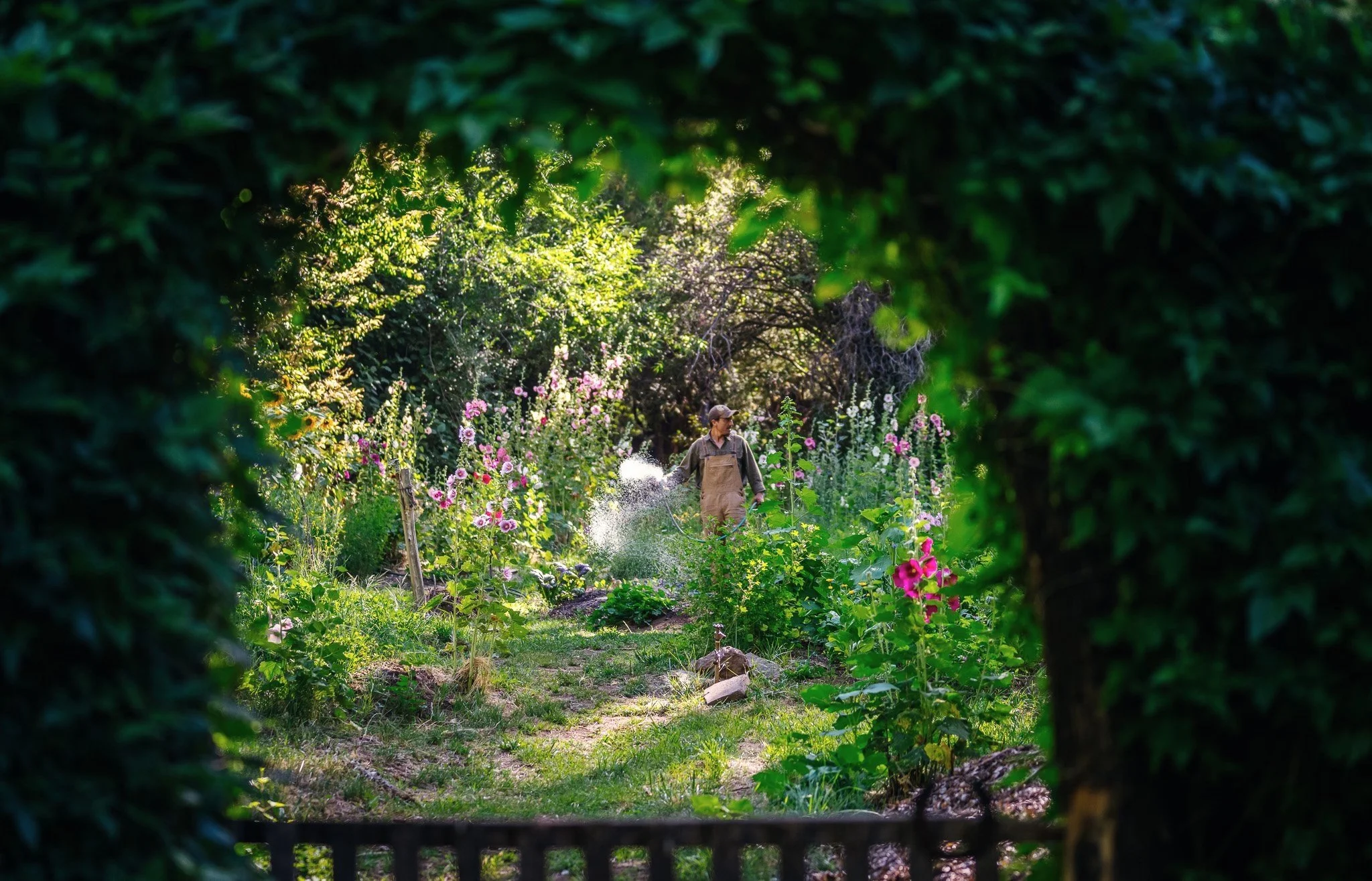 Ranquilco+garden.jpg